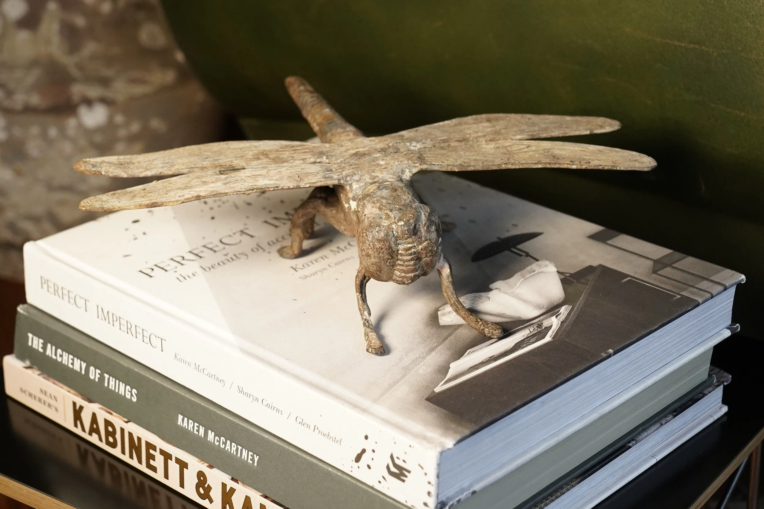 Dragonfly really good.JPG