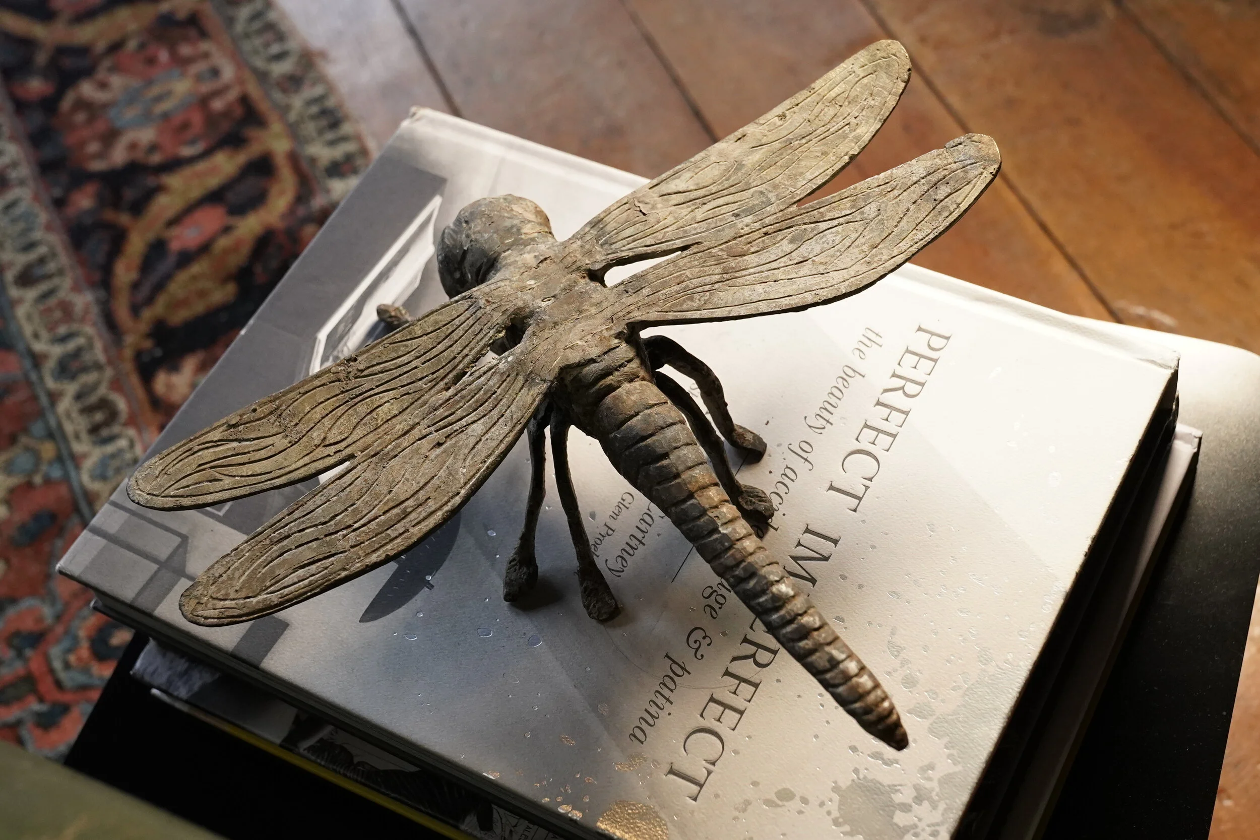 Dragonfly.JPG