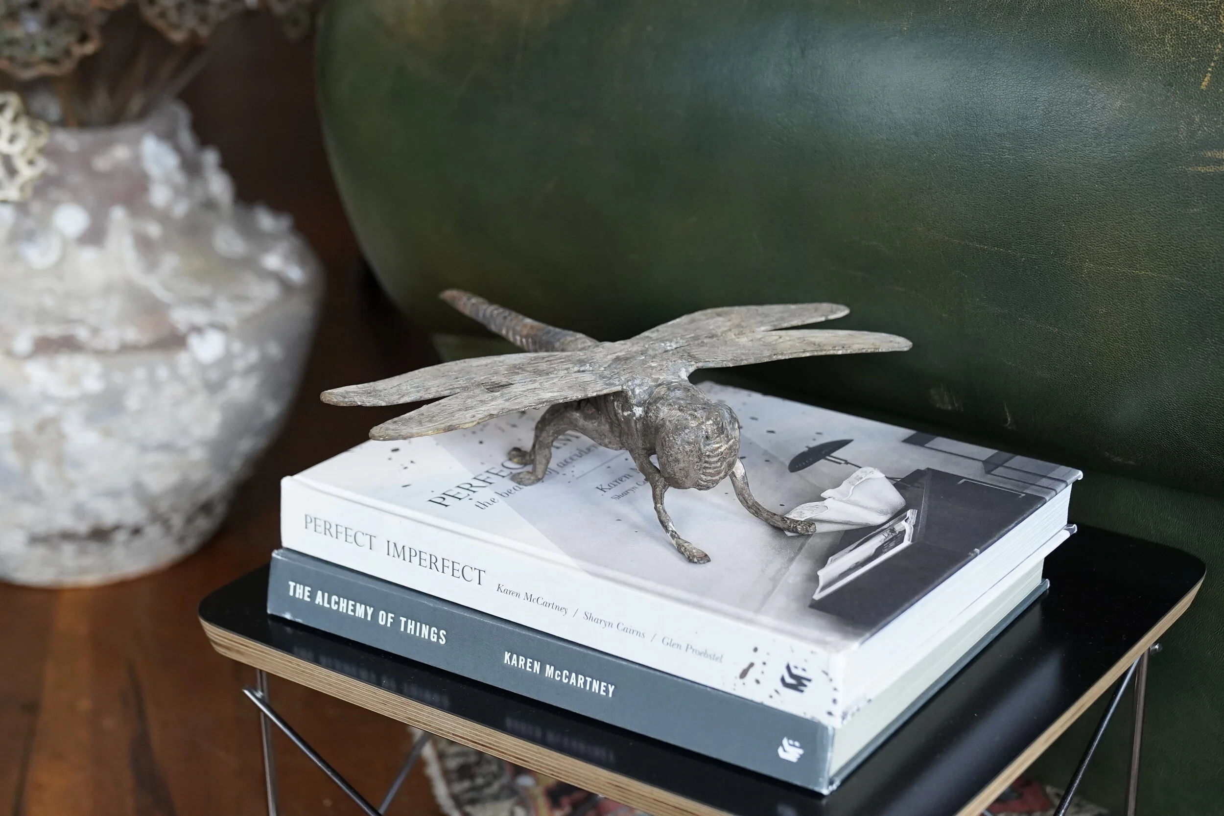 Dragonfly2.JPG
