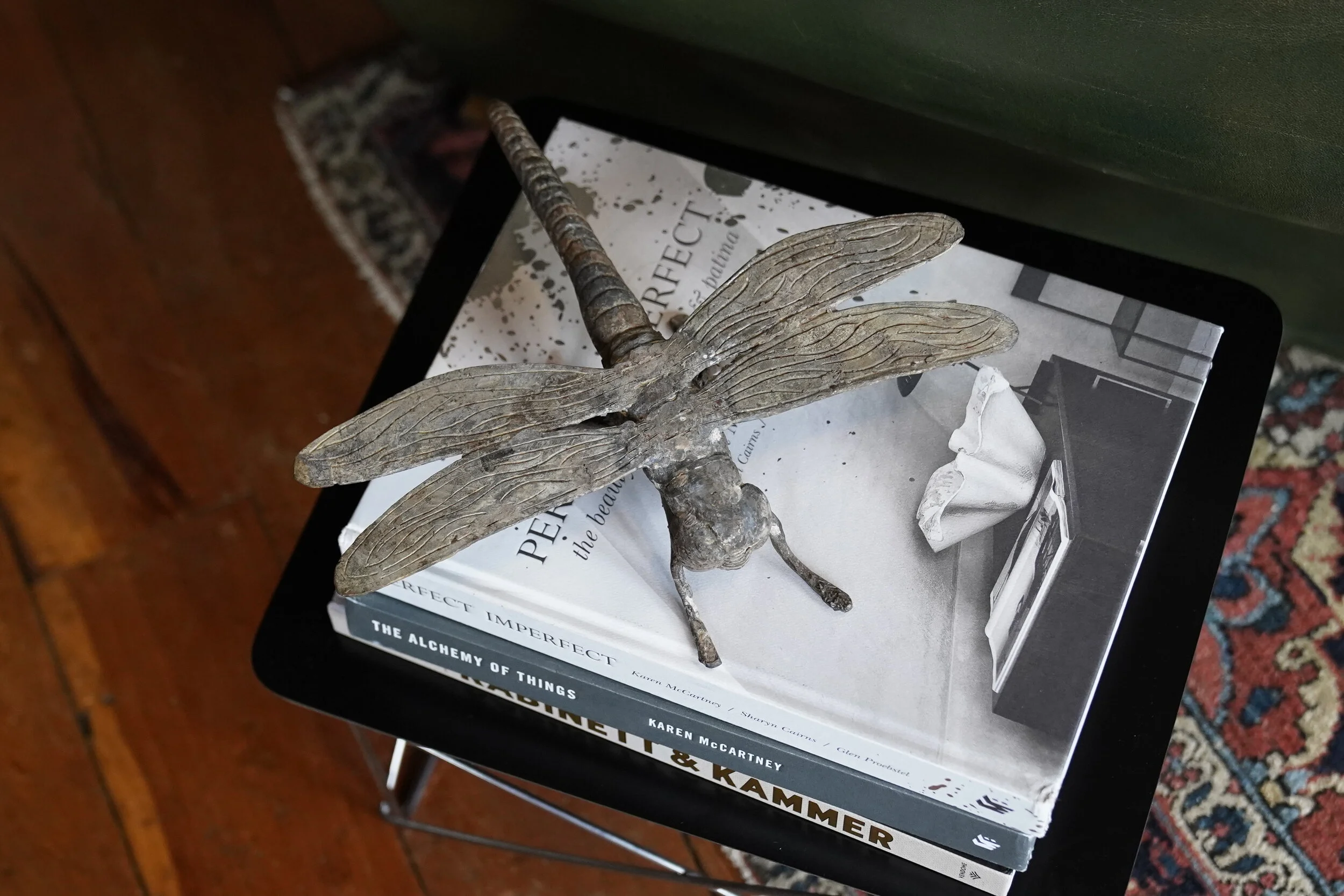 Dragonfly aeriel 2.JPG