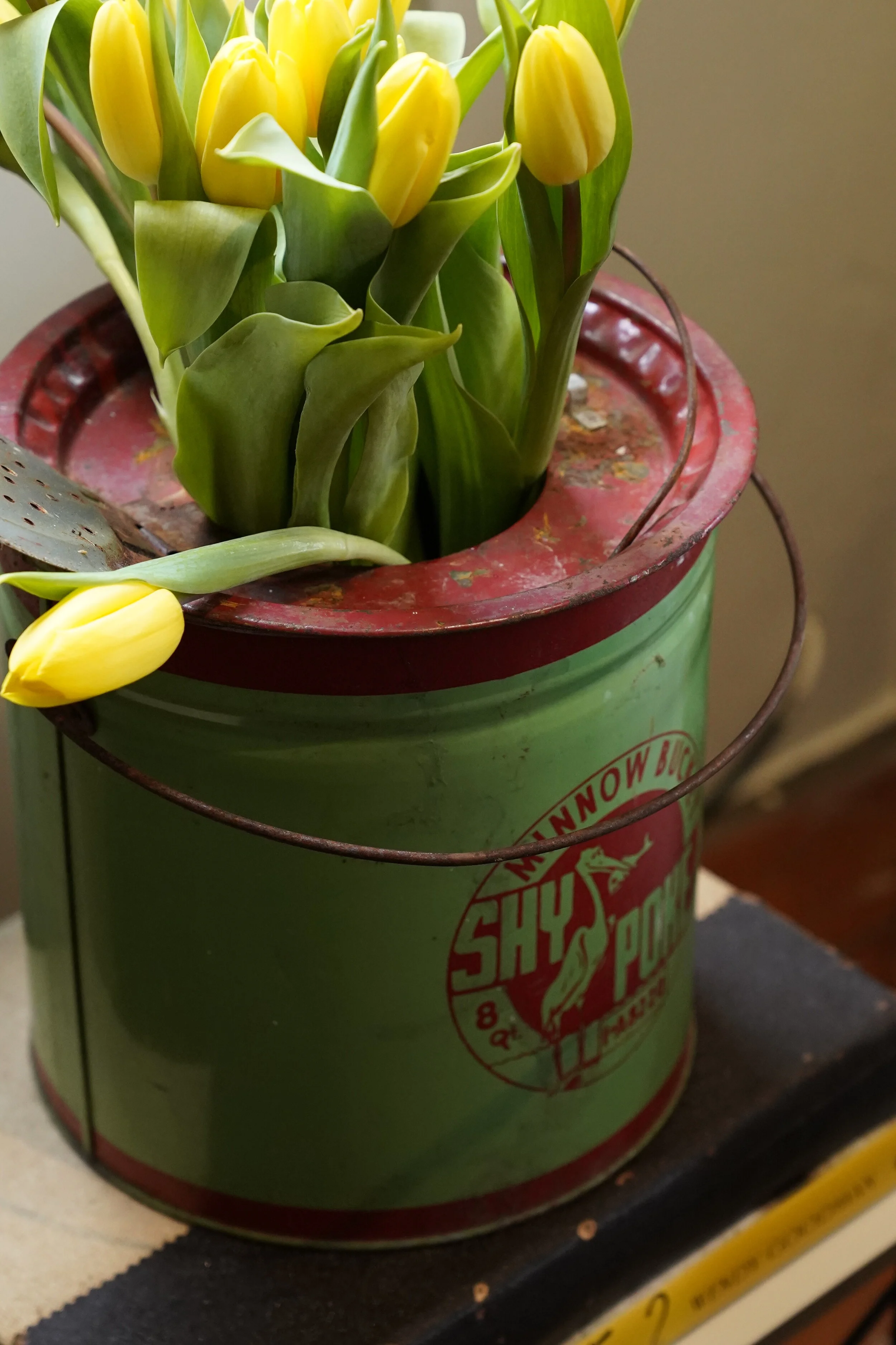 Poke bucket 5.JPG
