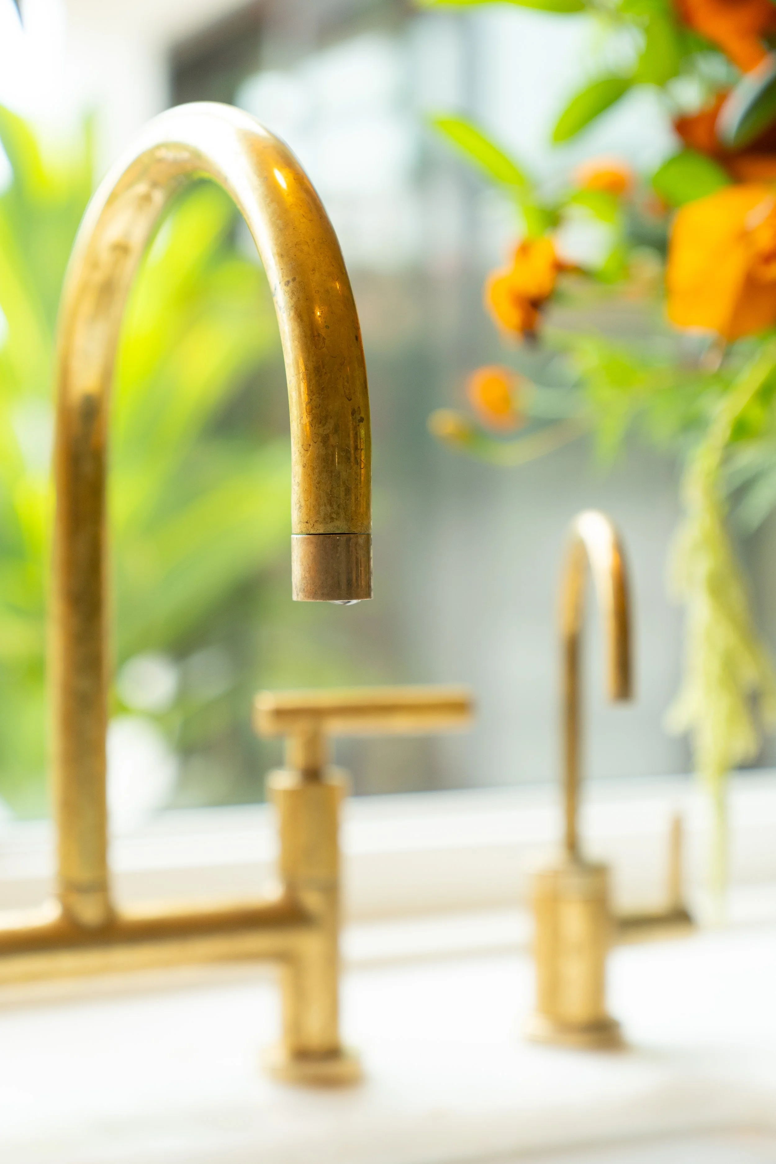 Lotman SC_ 8678_Faucet Detail.jpg