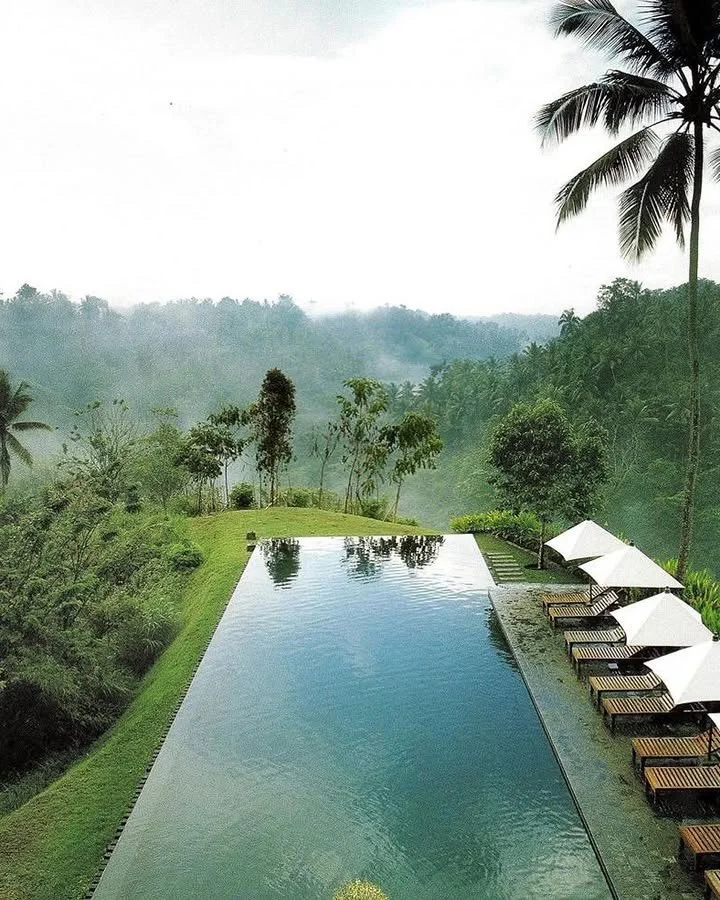 I love pools that are simple, natural and rectangular 💧 I also love them when they are extra long and skinny.