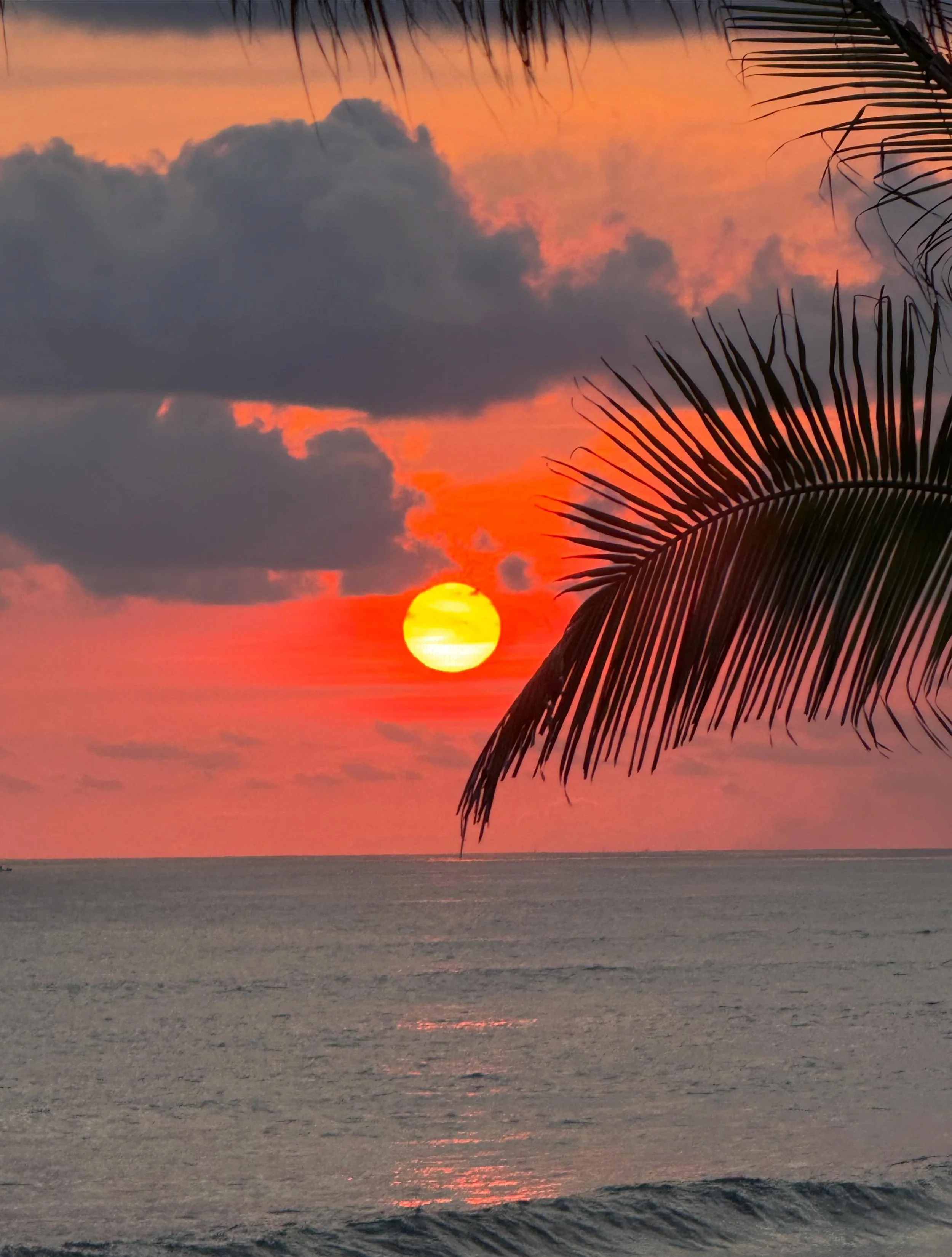 Sunsets from #CasaCreandoOlas

Cloudy, partly cloudy or clear, you can&rsquo;t beat the sunsets at this Mexican surf villa I designed years ago.