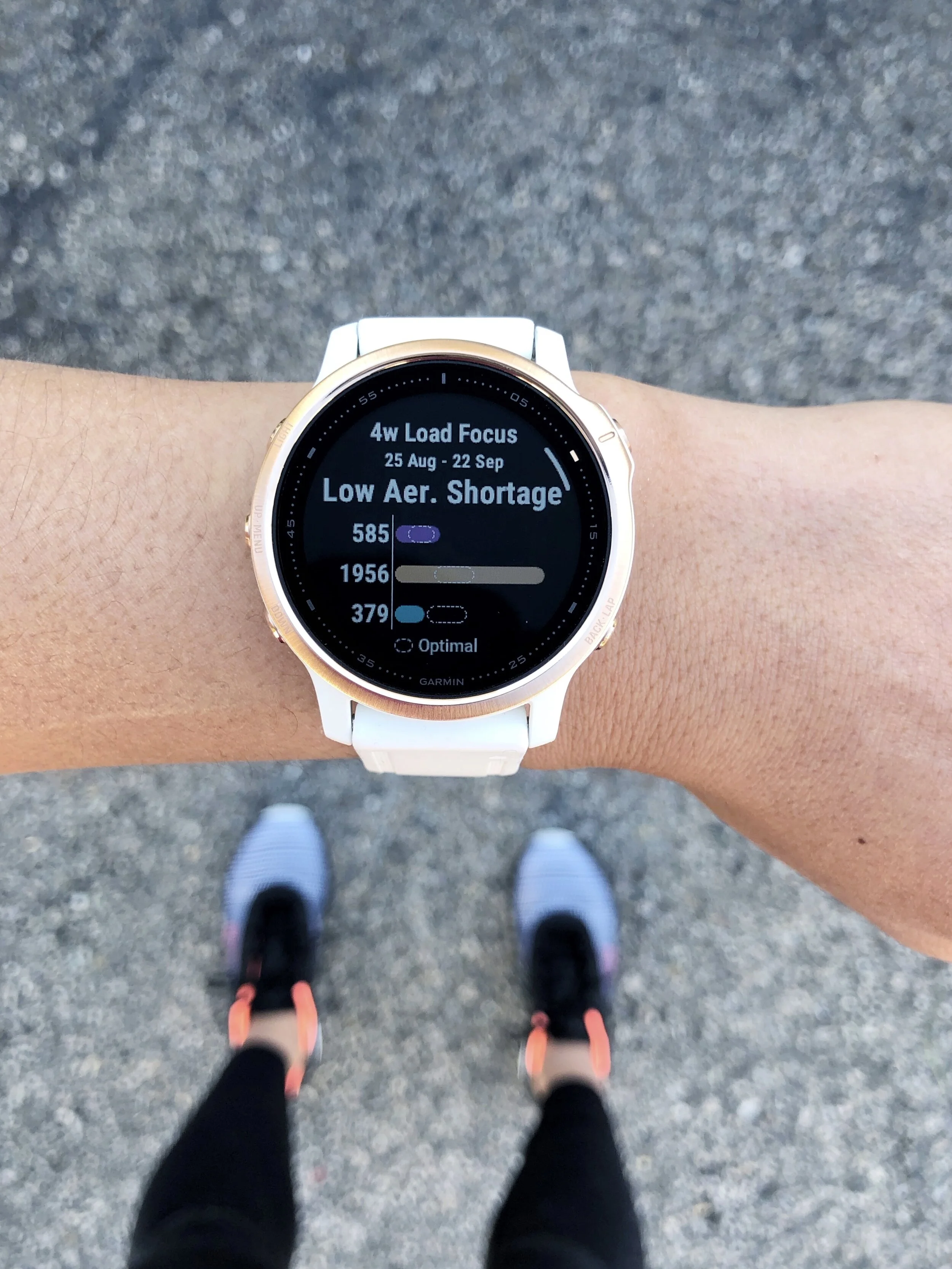 Is the Garmin Training Status Accurate? — Little Miss Runshine