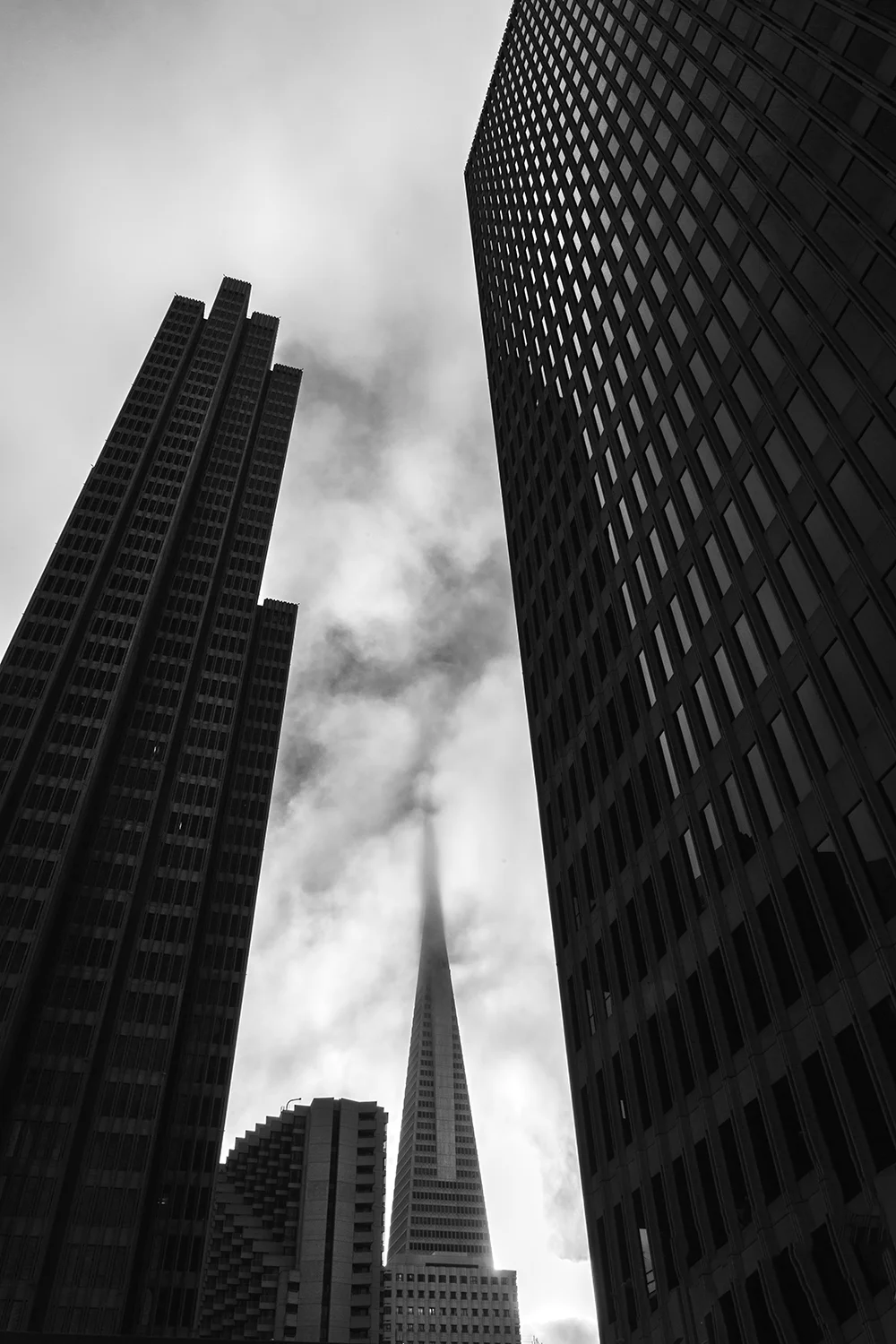 AU8A5510-1500px.jpg