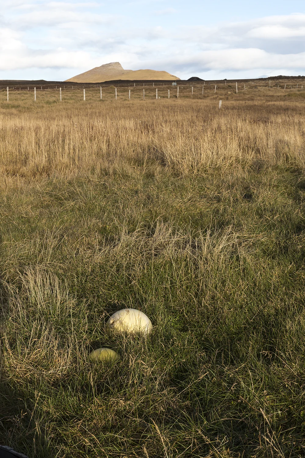 10102018_Iceland_WestFjords_0055-1500px.jpg