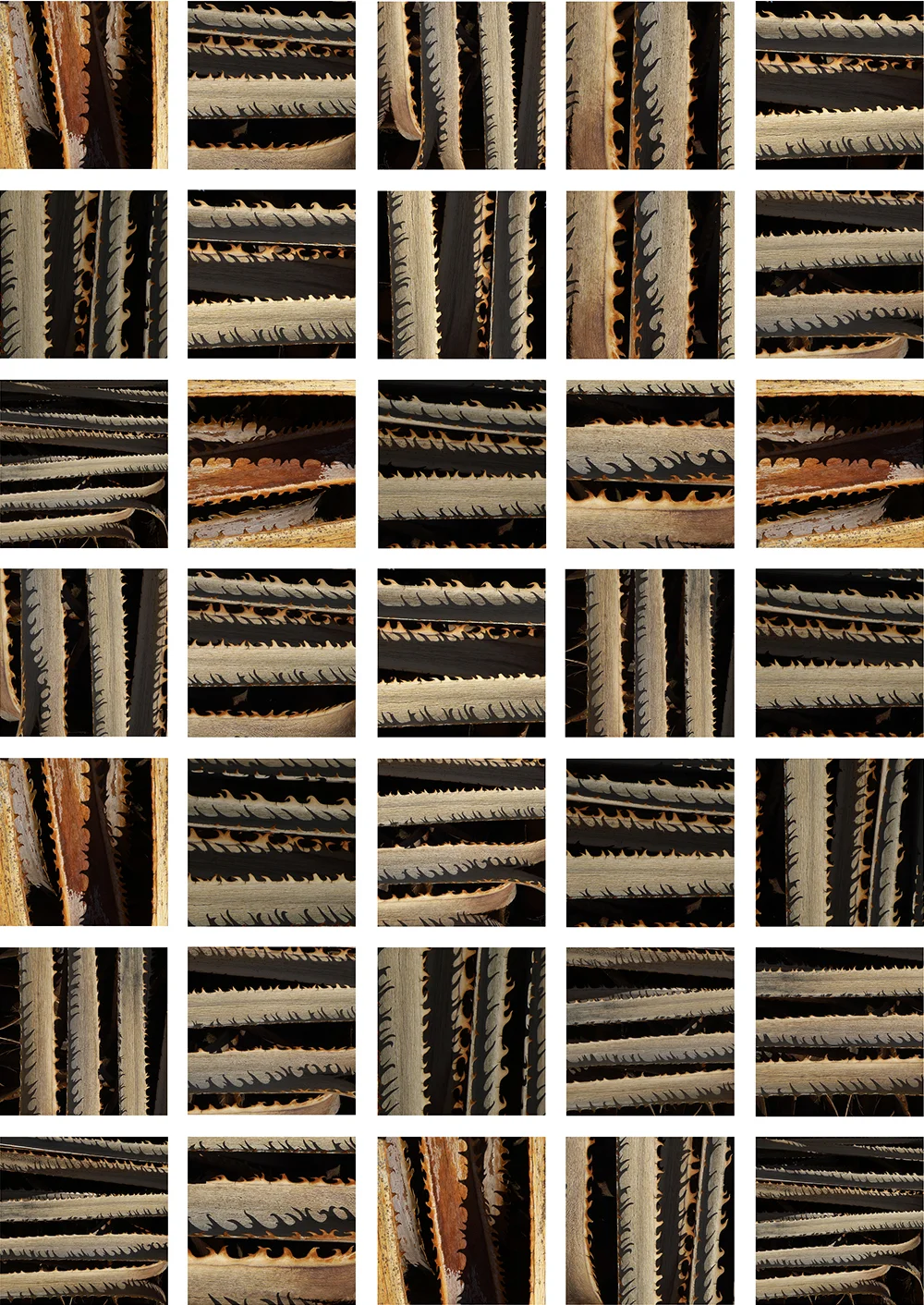 Spikes 2012-vert.jpg