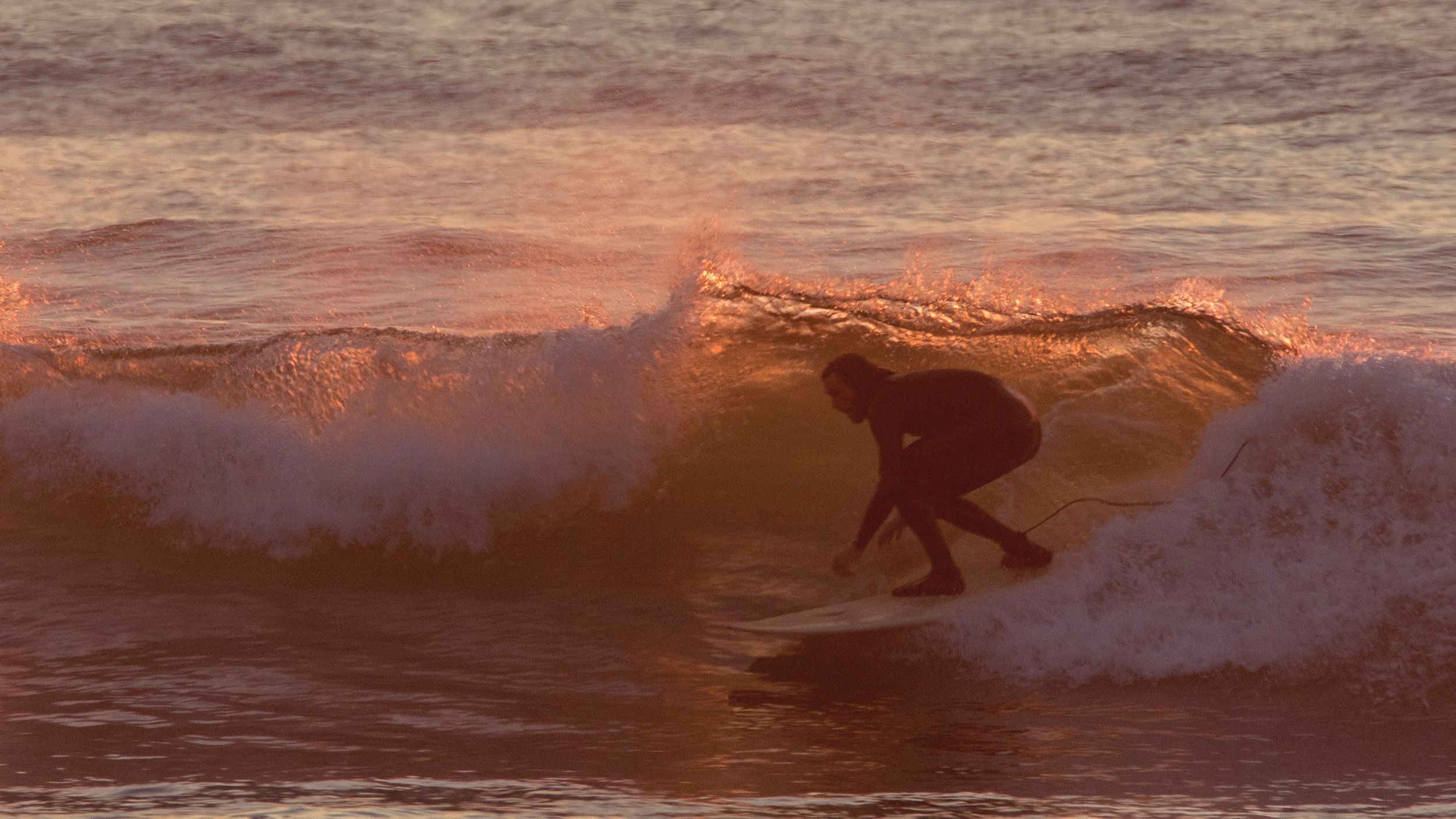 wave rider