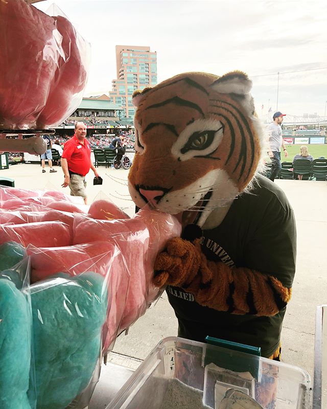 There are only two Louisville Bats home games left in the season! Come get some of our candy before the Campbellsville tiger eats it all! //&mdash;&mdash;&mdash;&mdash;&mdash;&mdash;&mdash;&mdash;&mdash;&mdash;&mdash;&mdash;&mdash;&mdash;&mdash;&mdas