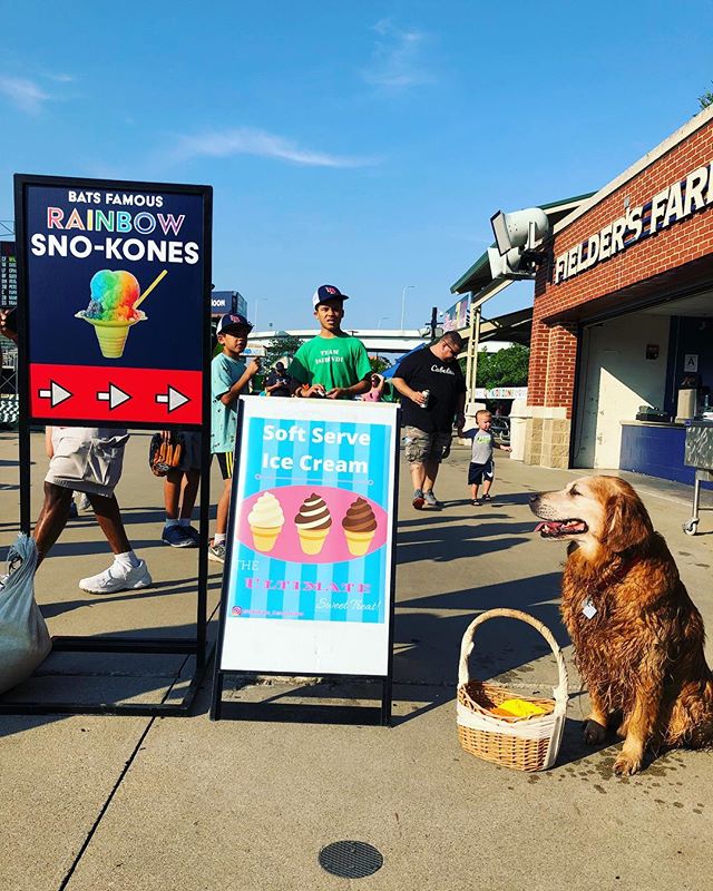 It&rsquo;s Bark in the Park tonight at Louisville Slugger Field! Come bring your dogs &amp; enjoy some delicious sweets from Dugout Delights! 🐶
.
.
. 
Game time is at 6:30pm ⚾️ #louisvillebats #ultimateconcessions #dugoutdelights #dog #jakethediamon