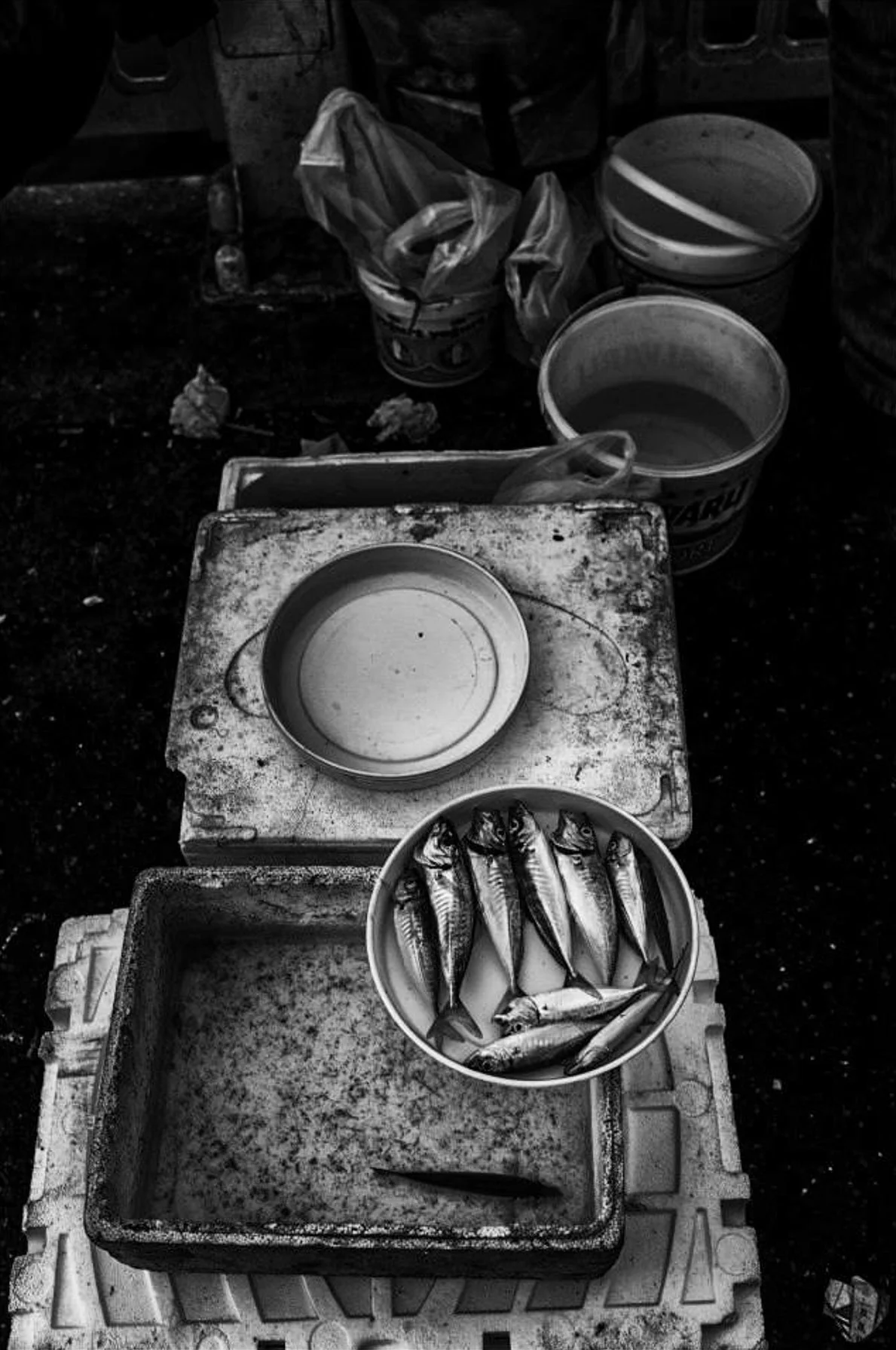 roswitha-wesiak-monochrome02.jpg