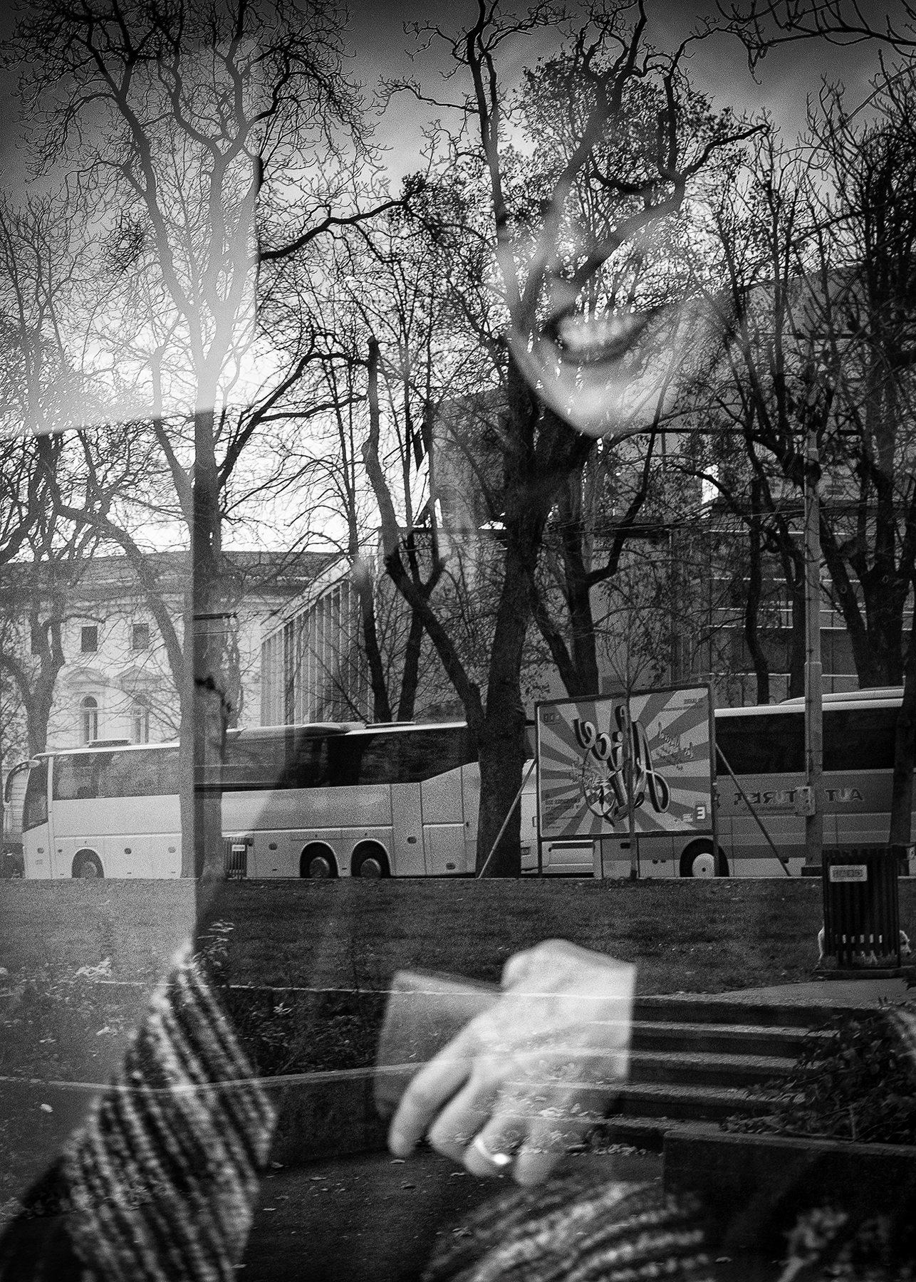 Donata Wenders