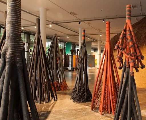 Krajcberg, ativismo e ecoarte