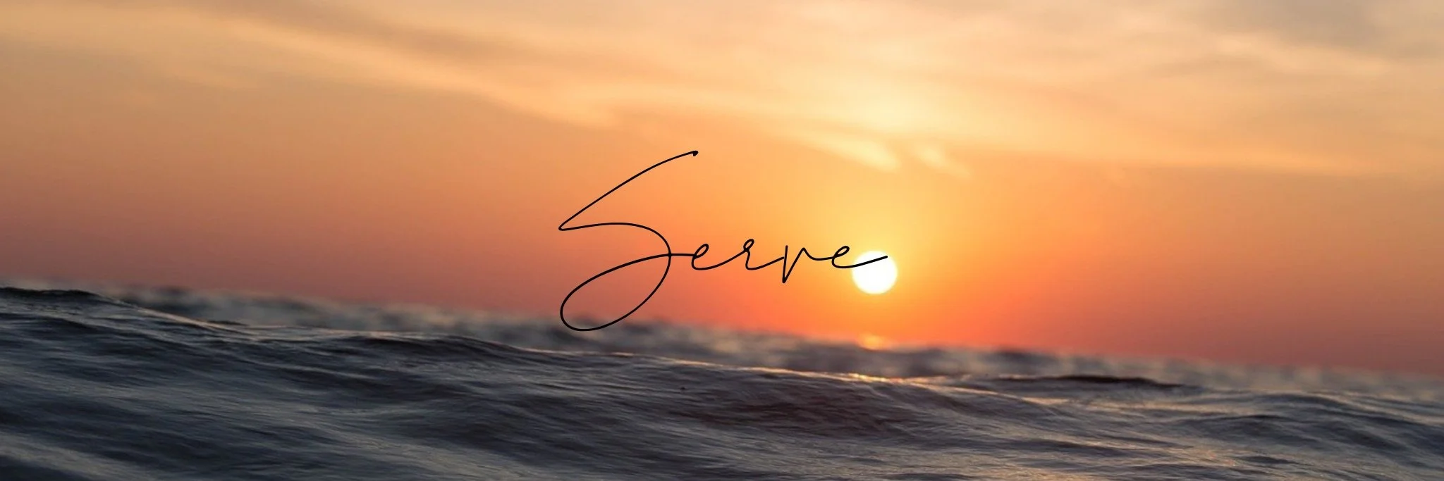 SLHserve.jpg