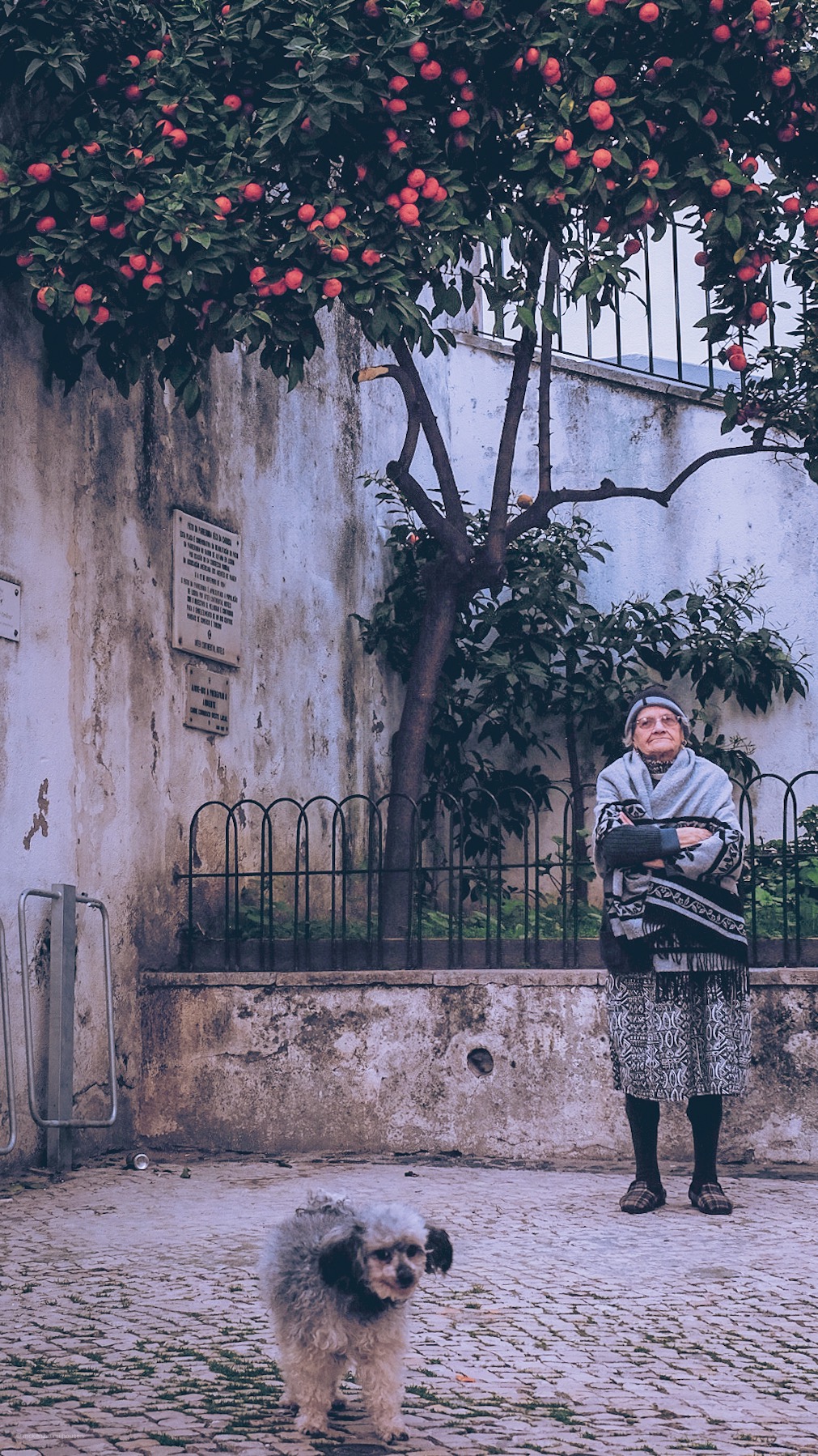 3BAAF4F6-4F48-49CE-A5F5-2FEBA84589D2.jpeg