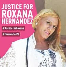 lambda legal 3`.jpg