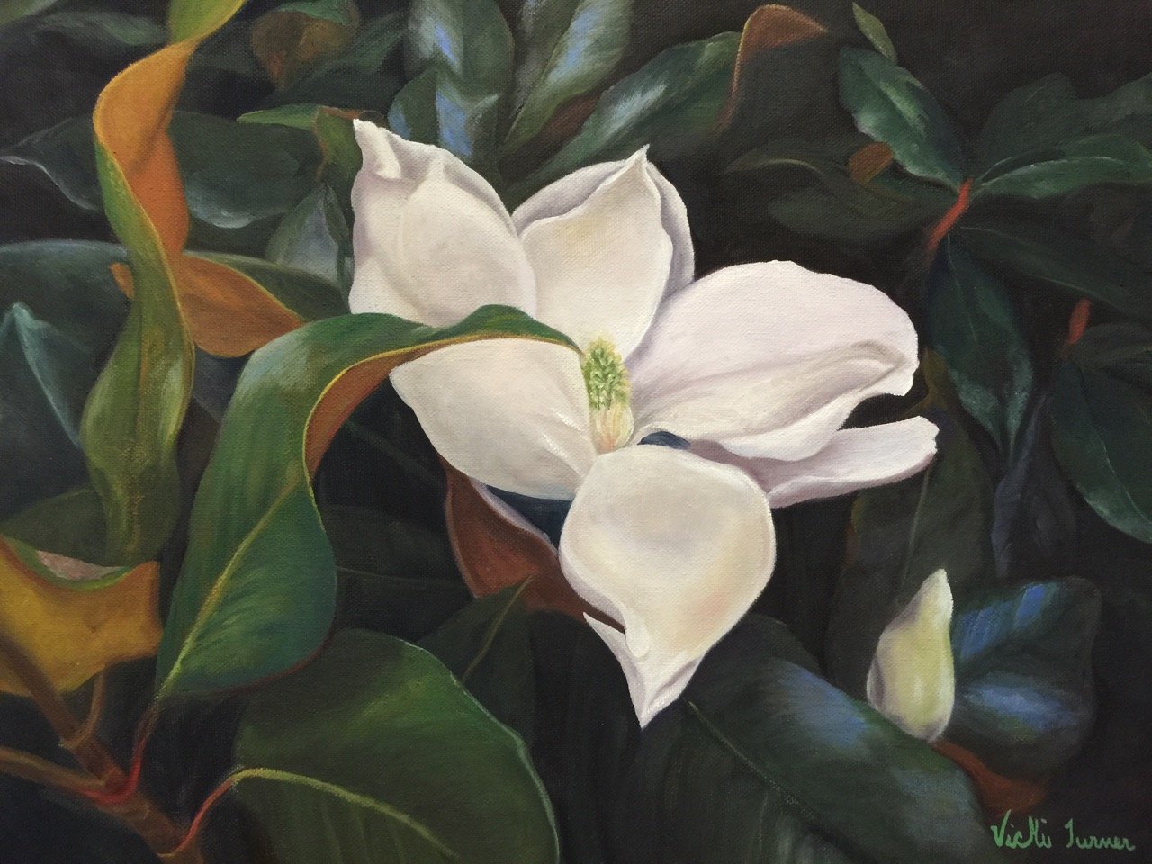 Magnolia Bloom Vicki Turner.jpeg