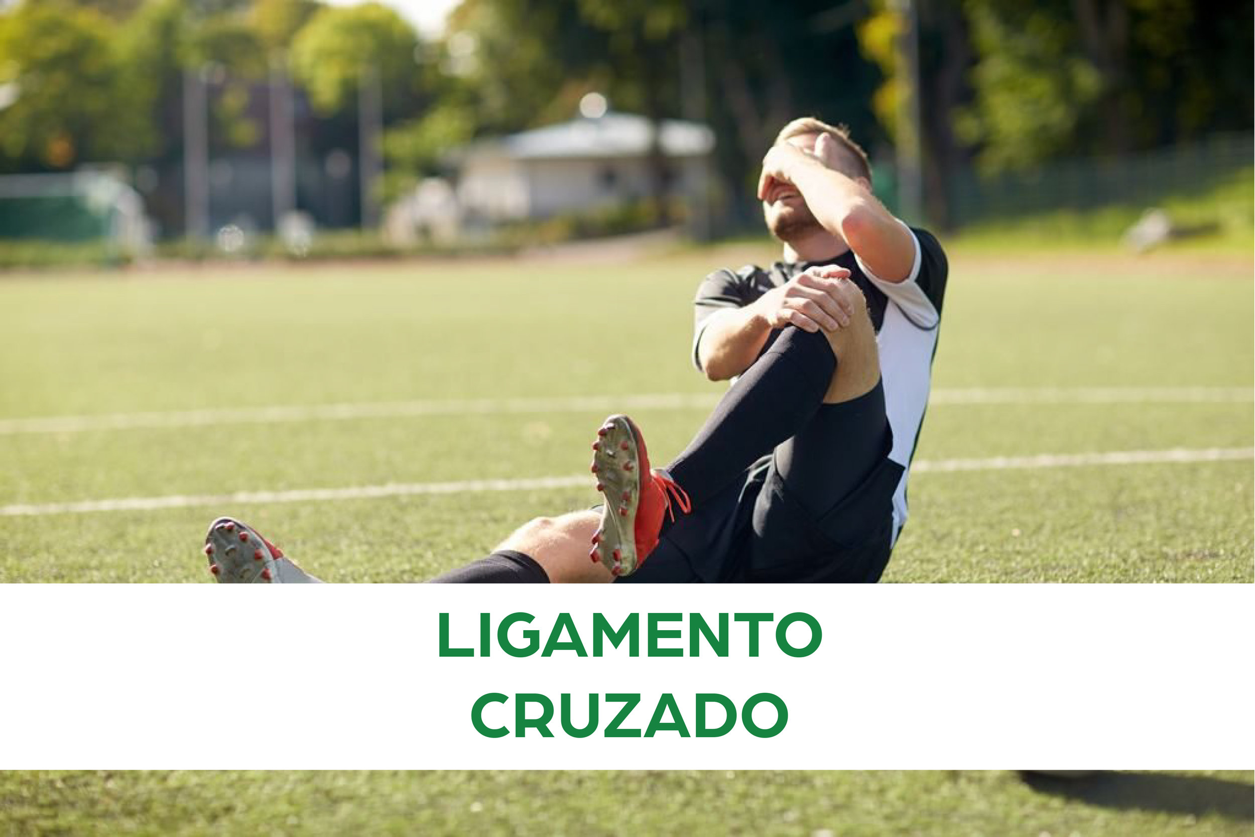 LIGAMENTO CRUZADO.jpg