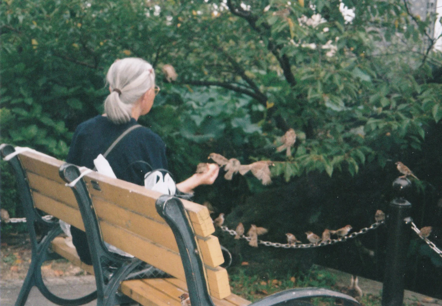 Scan 8-1.jpg