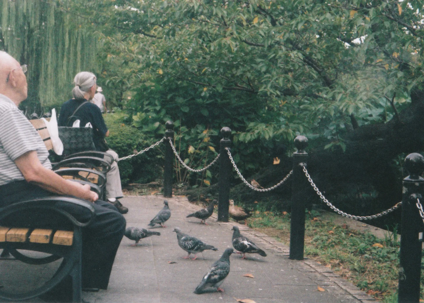 Ueno Park 2