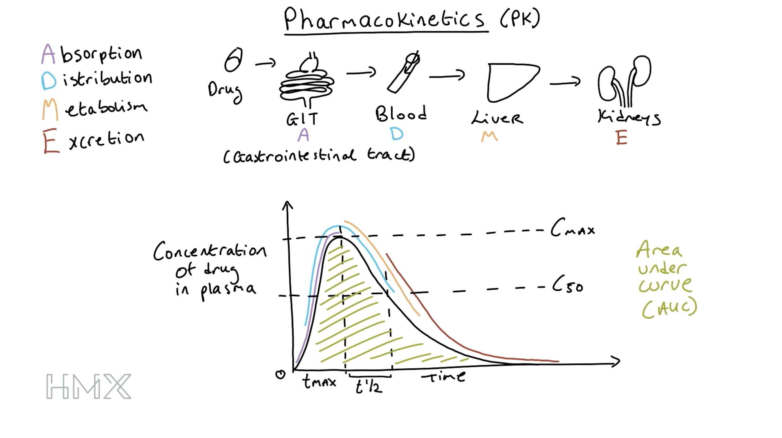 Pharmacology Tablet Capture (producer, editor)