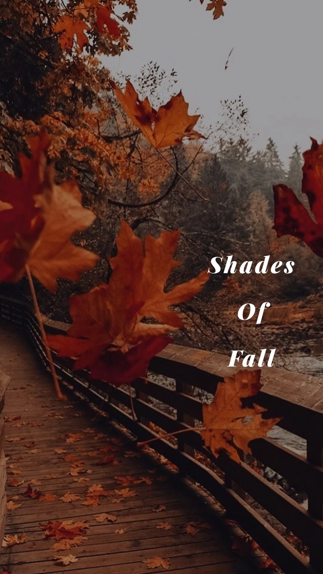 Shades Of Fall