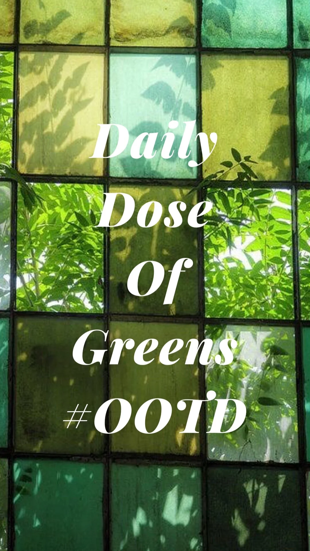 Daily Dose Of Greens #OOTD