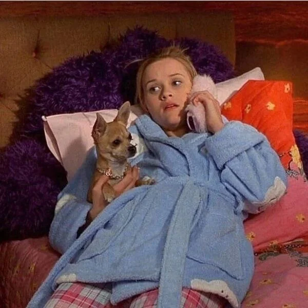 My February Favorites