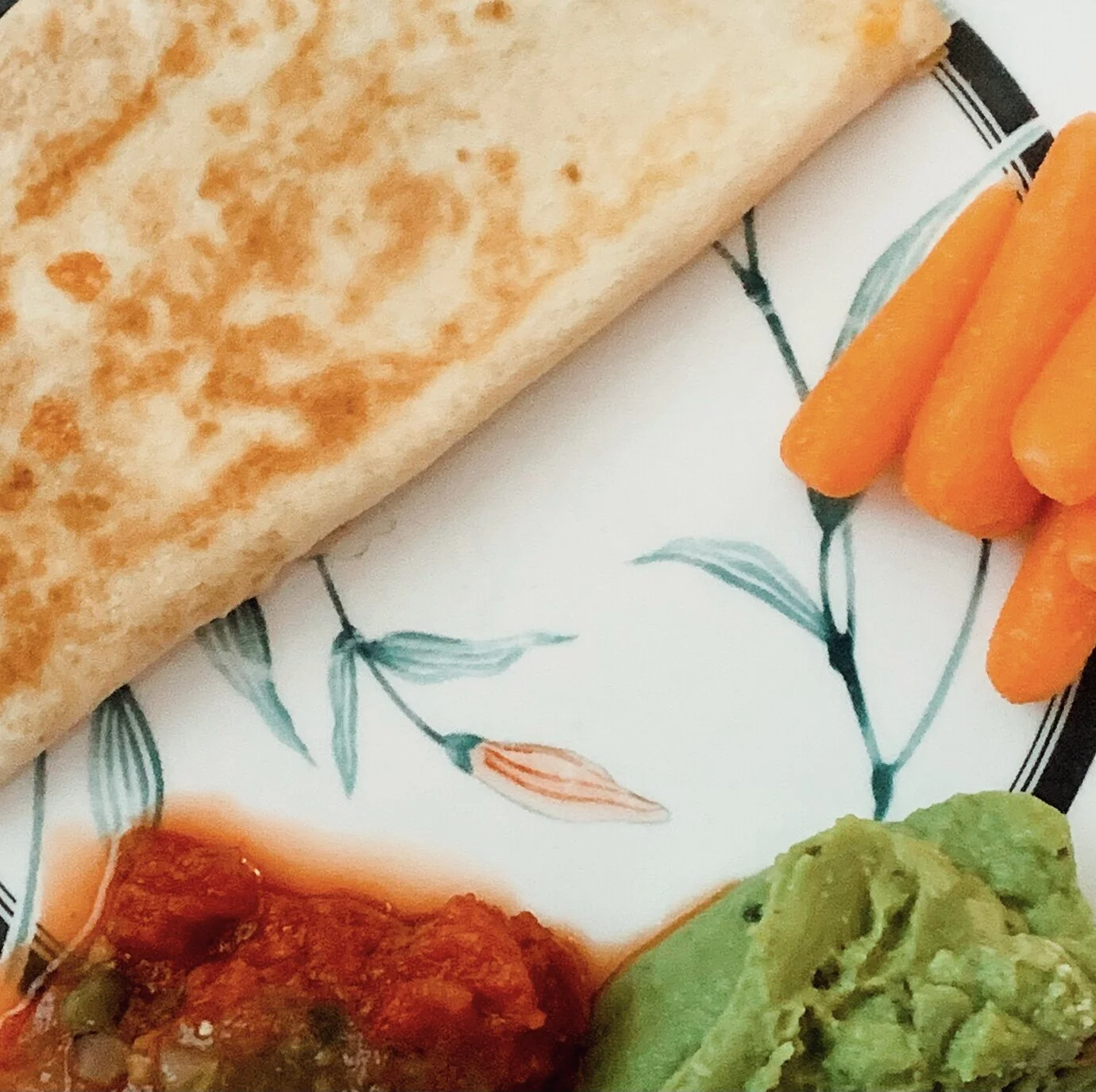 Quick &amp; Easy Quesadilla