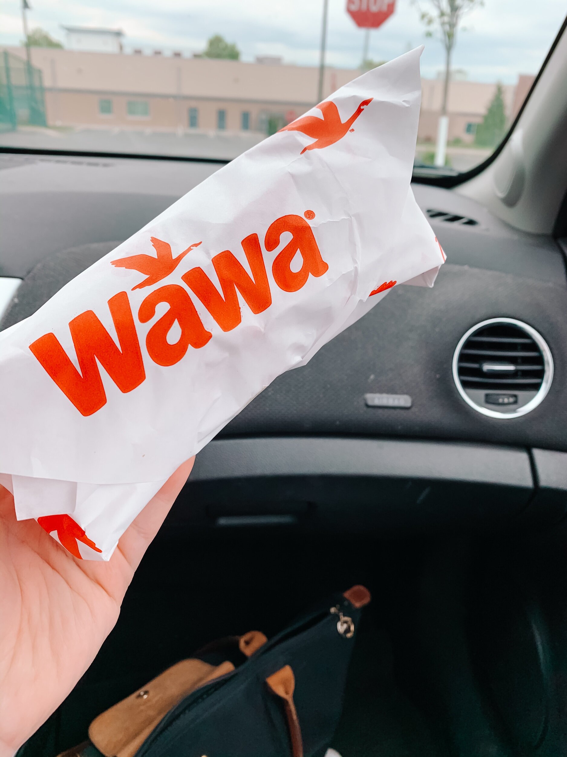National Hoagie Day - My Wawa Order