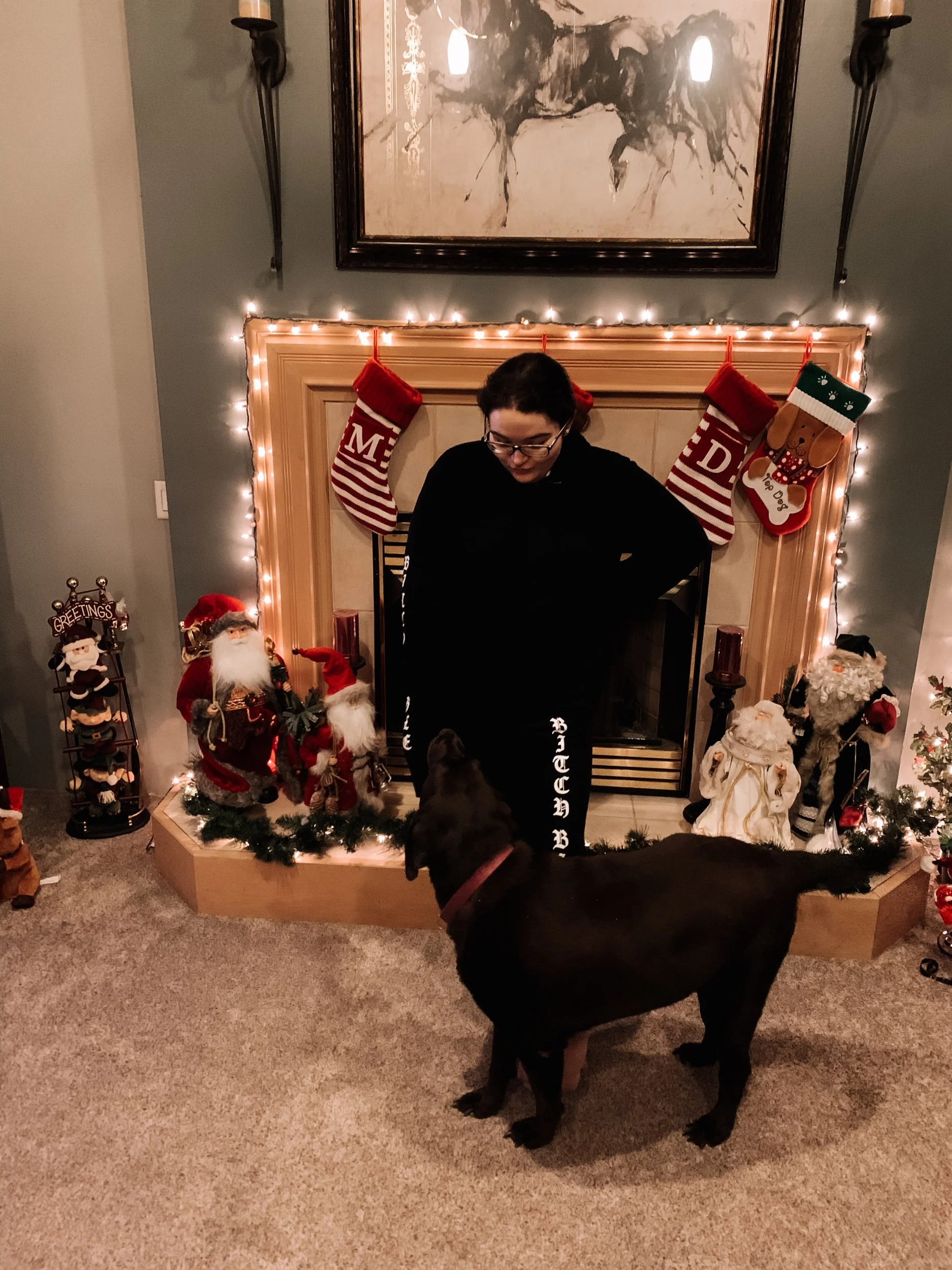 Blogmas Day 14- Doggy Gift Guide