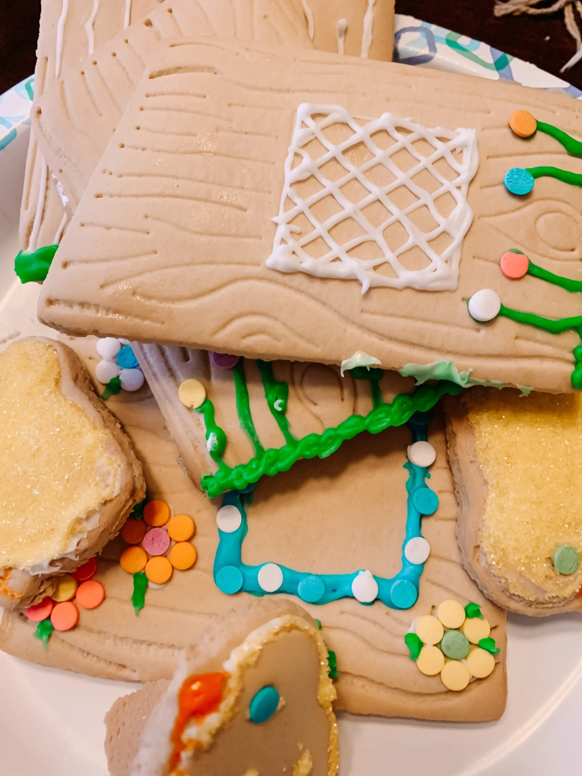 One Flew Over The Cuckoo’s Nest