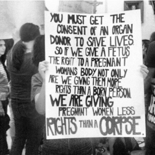 Sugar, Spice &amp; Reproductive Rights