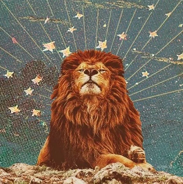 Leo Season Mood Board