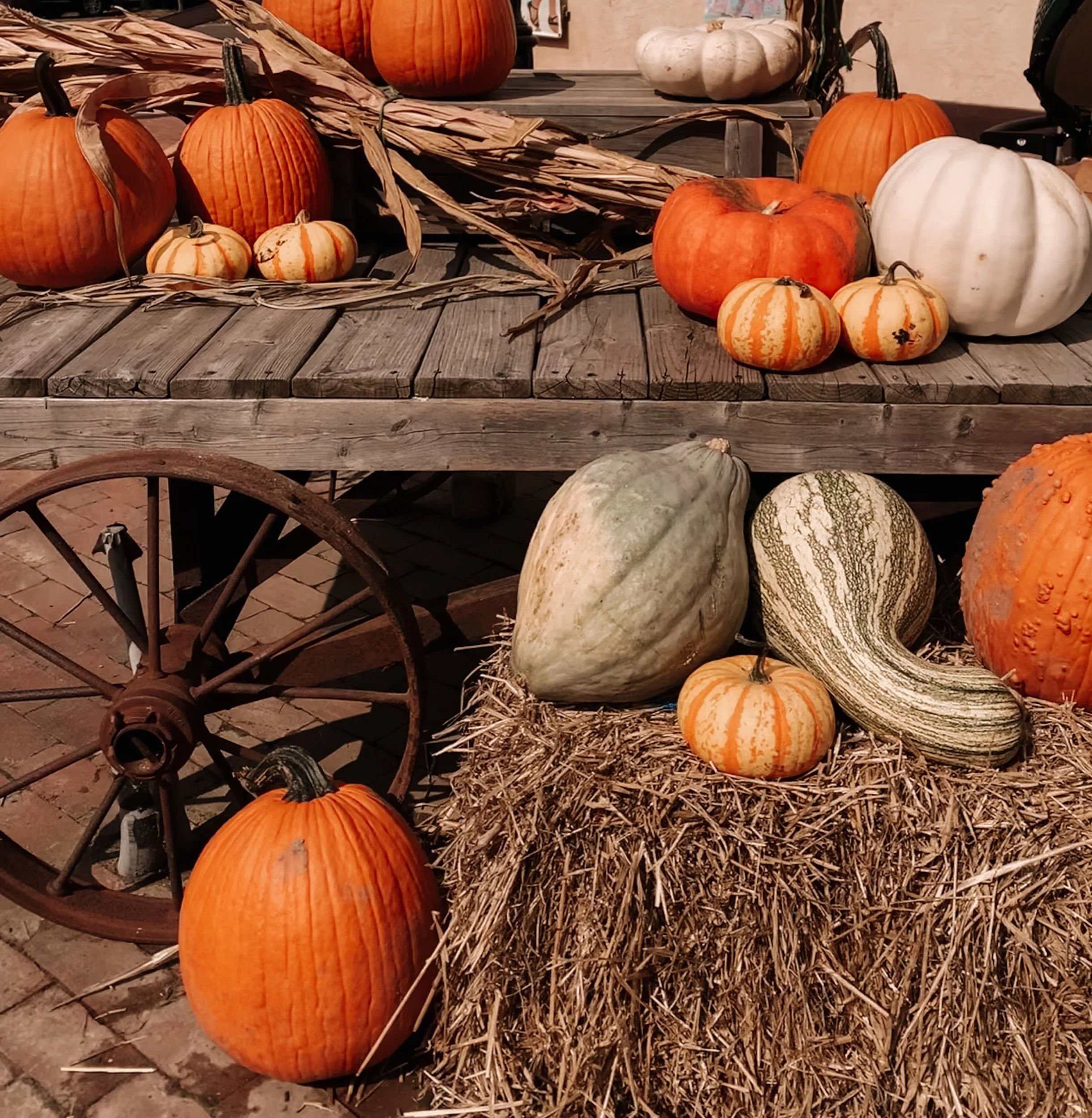 An Early Autumn Photo Diary