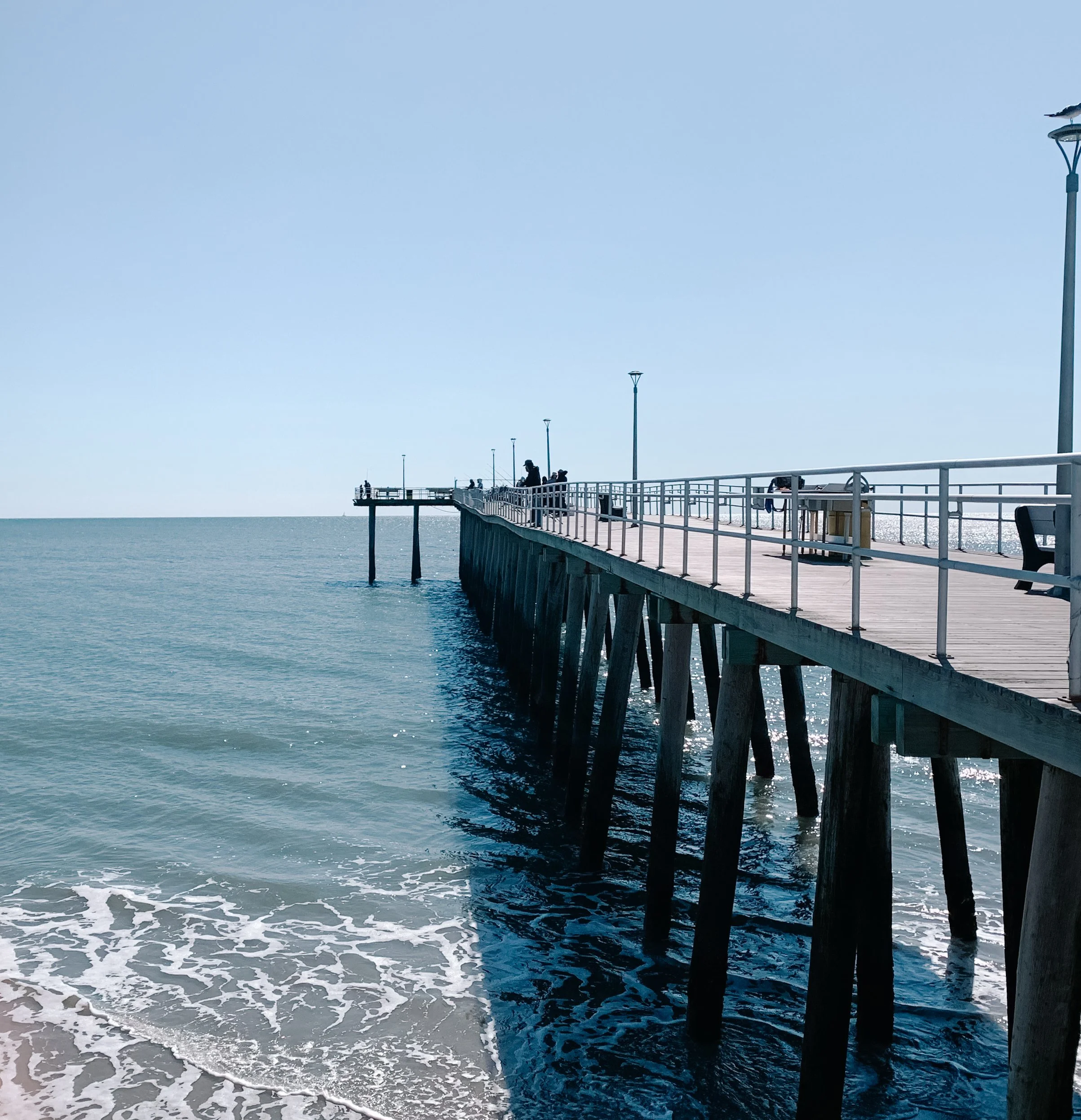 Early October Photo Diary