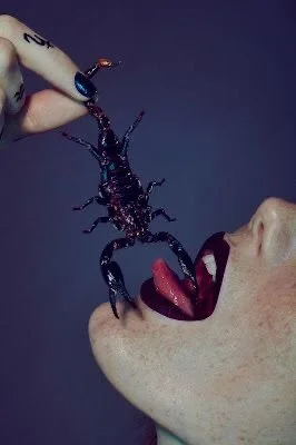 Scorpio Season Mood Board