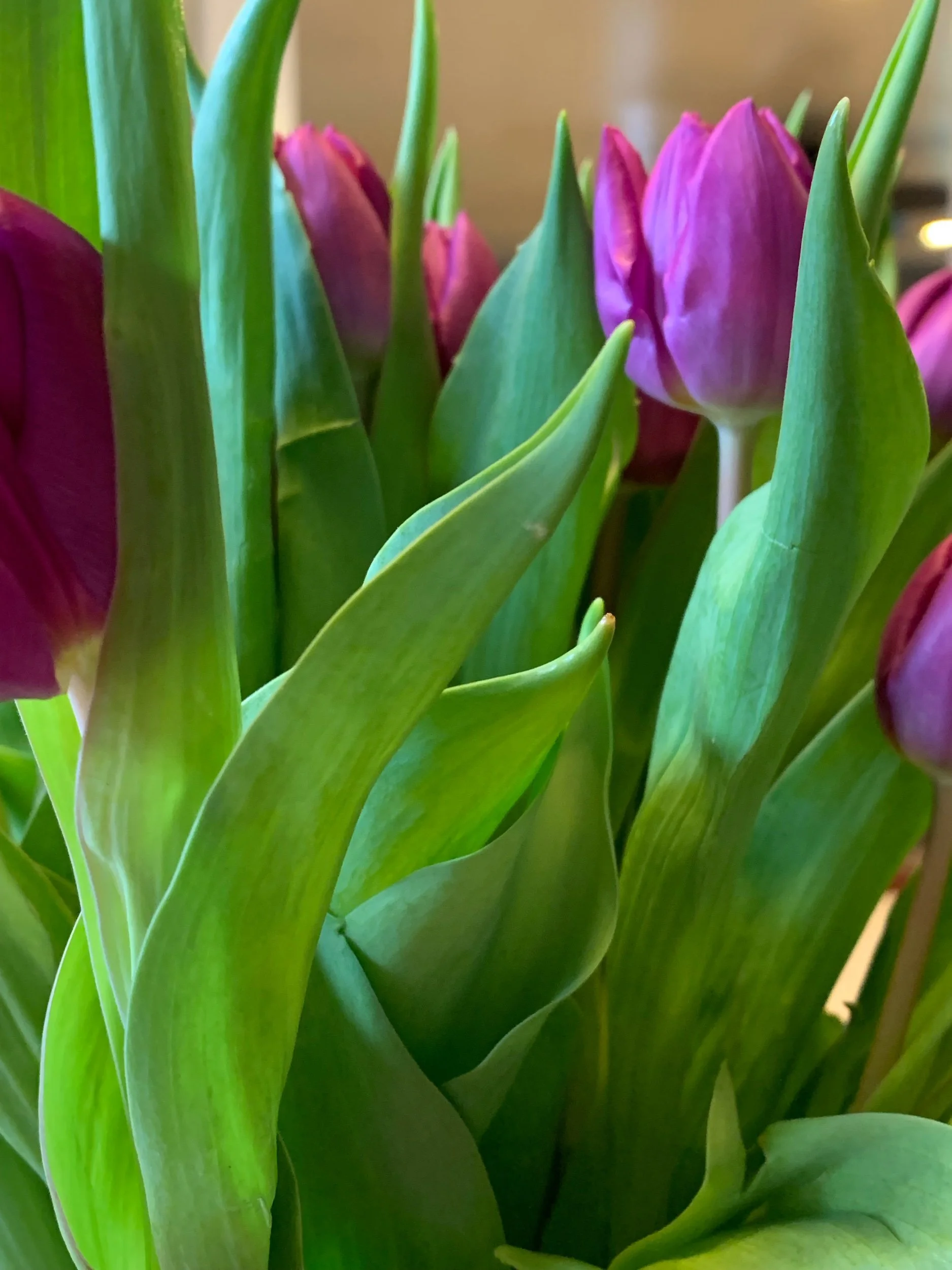 A Day In My Life - Easter Sunday 2024 