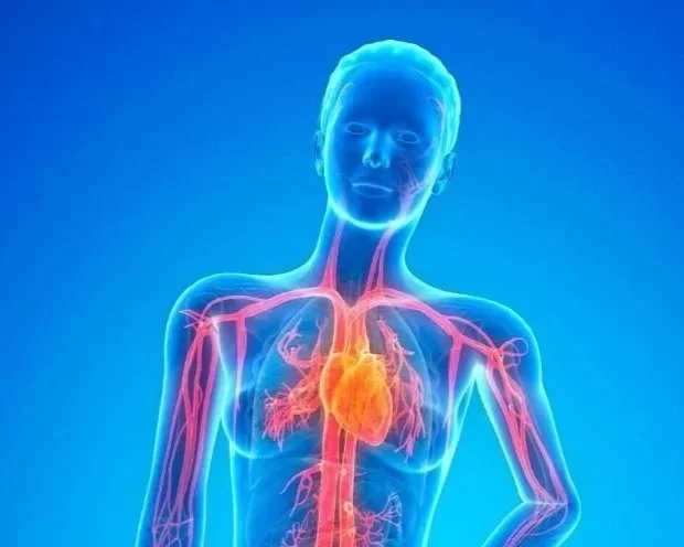 Why Weight Loss Isn’t Just Willpower: Hormones and the Nervous System Explained