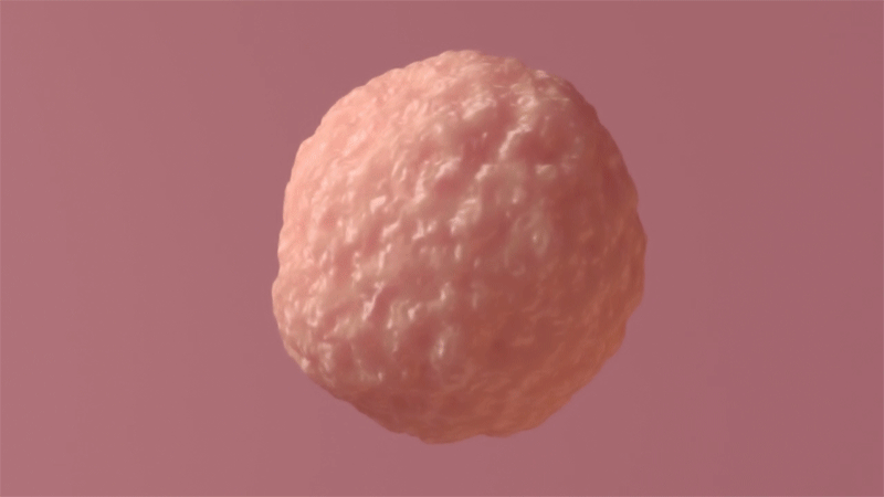 Apoptosis Test