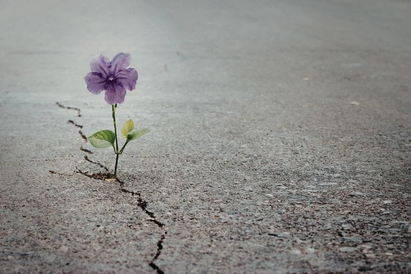 Navigating Romance in Post-Colonialism: Finding Love When the World Is Unsteady