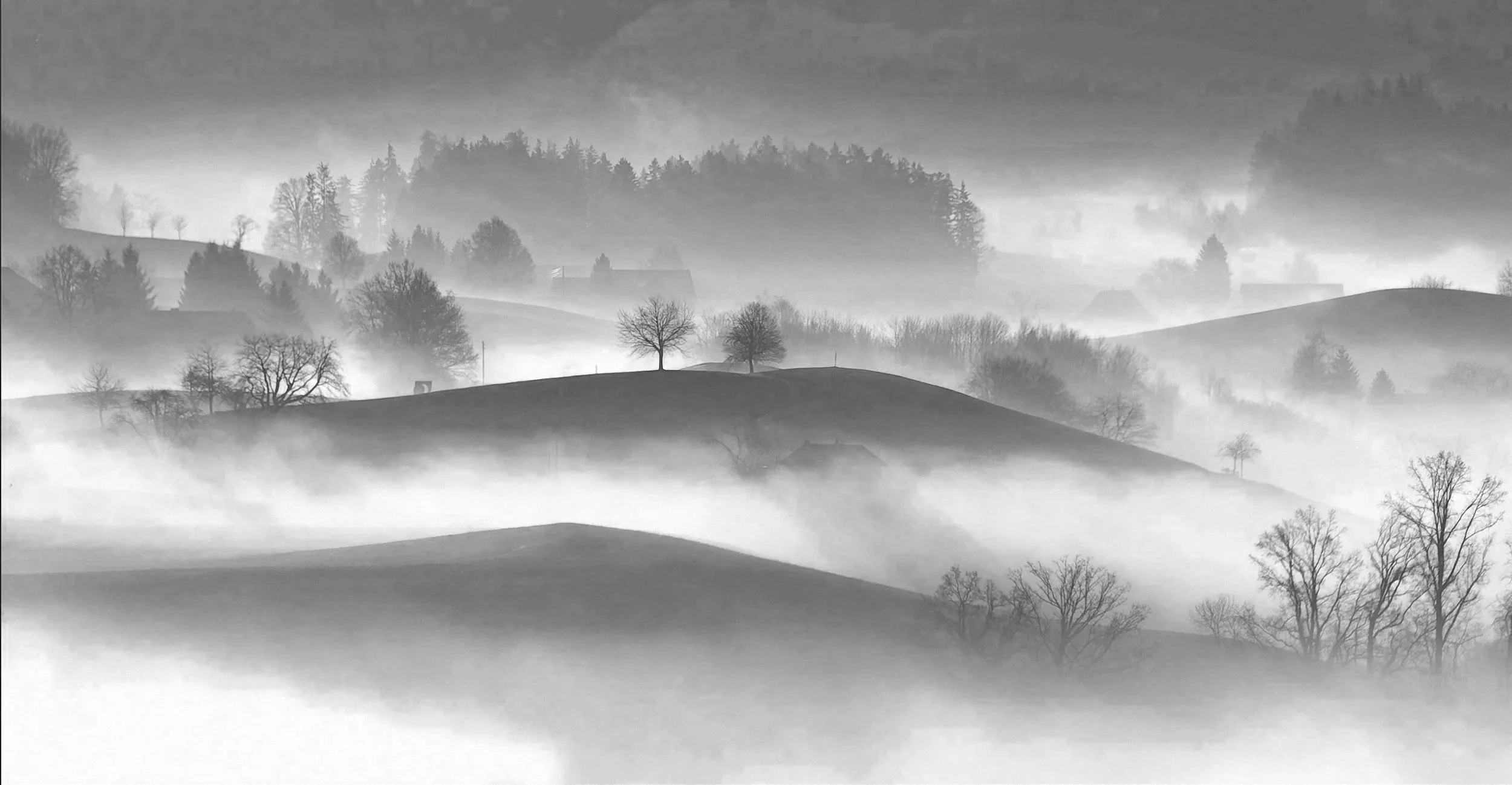 When 2025 Feels Like Repeated Trauma: A Decolonized Guide for Sensitive, Intersectional Souls