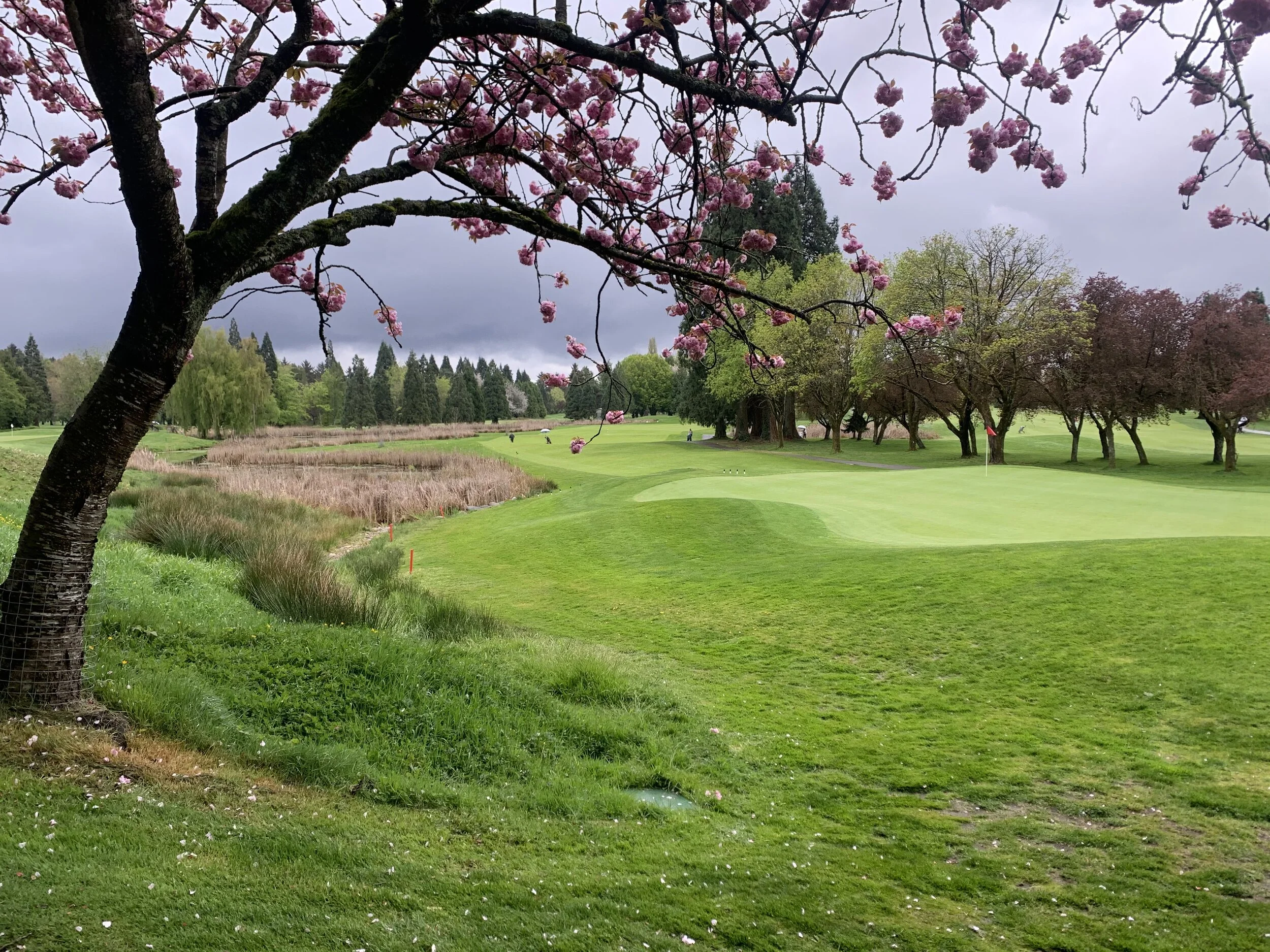 Molson's Cup - Stage 1 Results — Mccleery Golf Club