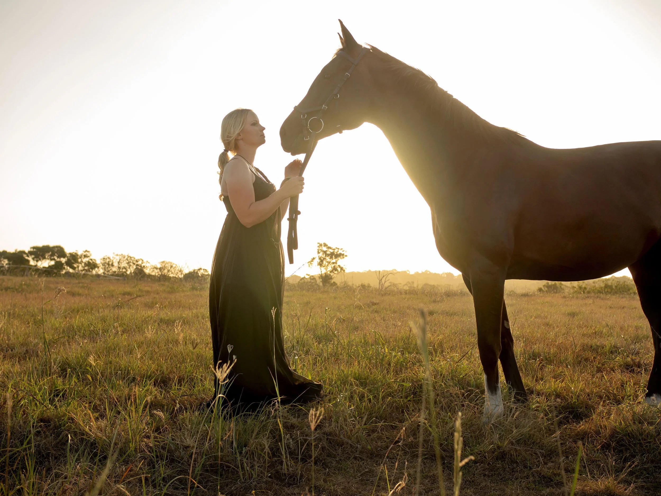 horse-sam-goodwin-portrait.jpg