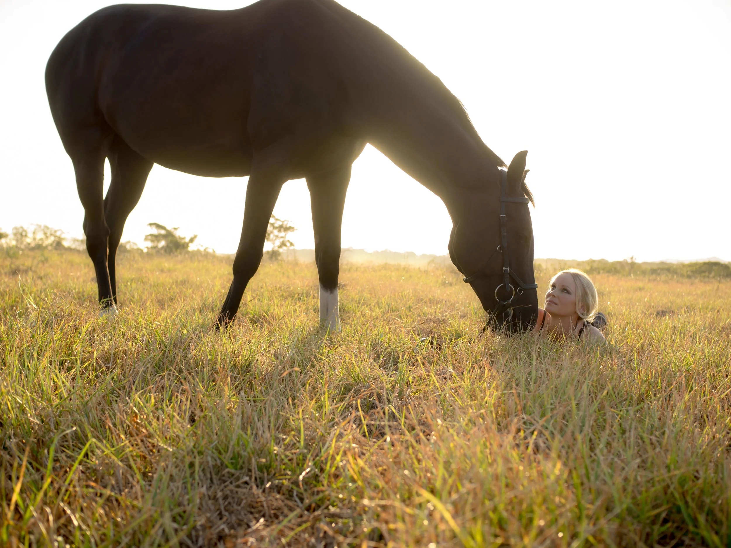 horse-afternoon-light-portrait.jpg