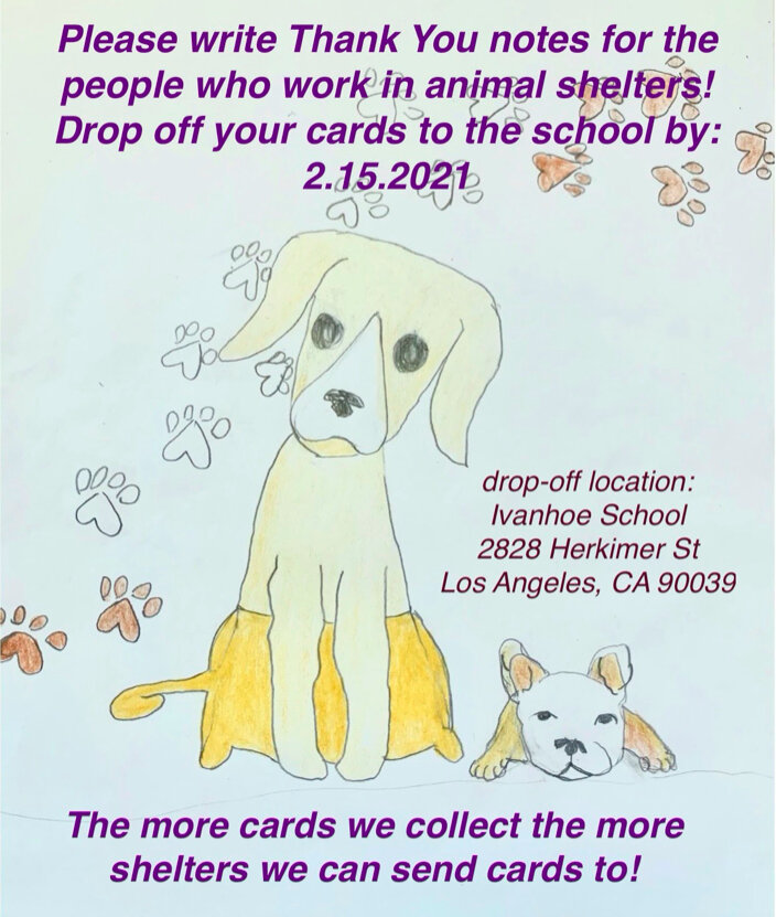 Let's Thank People Who Work in Animal Shelters — Ivanhoe Elementary