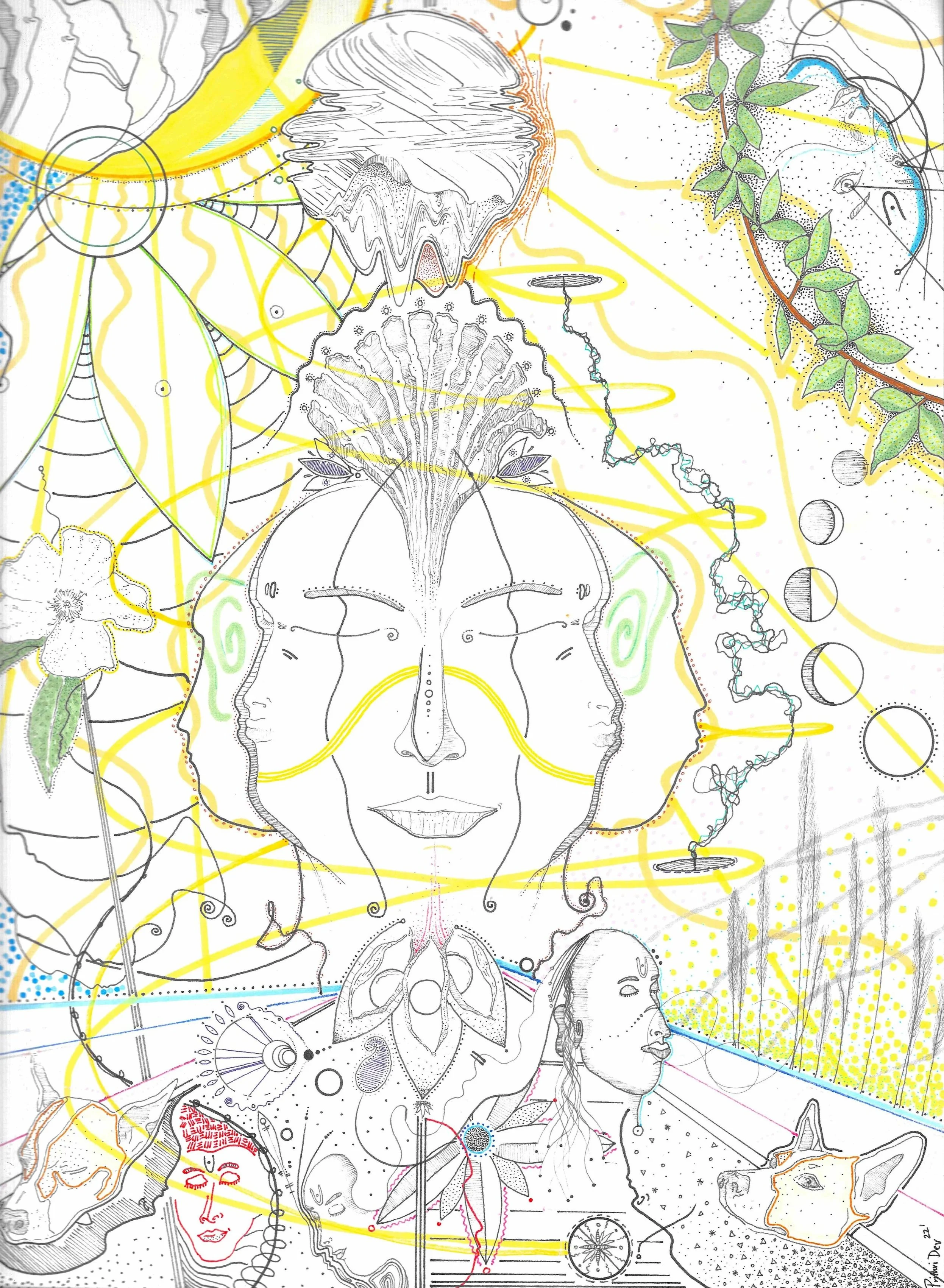 Facets of Enlightenment