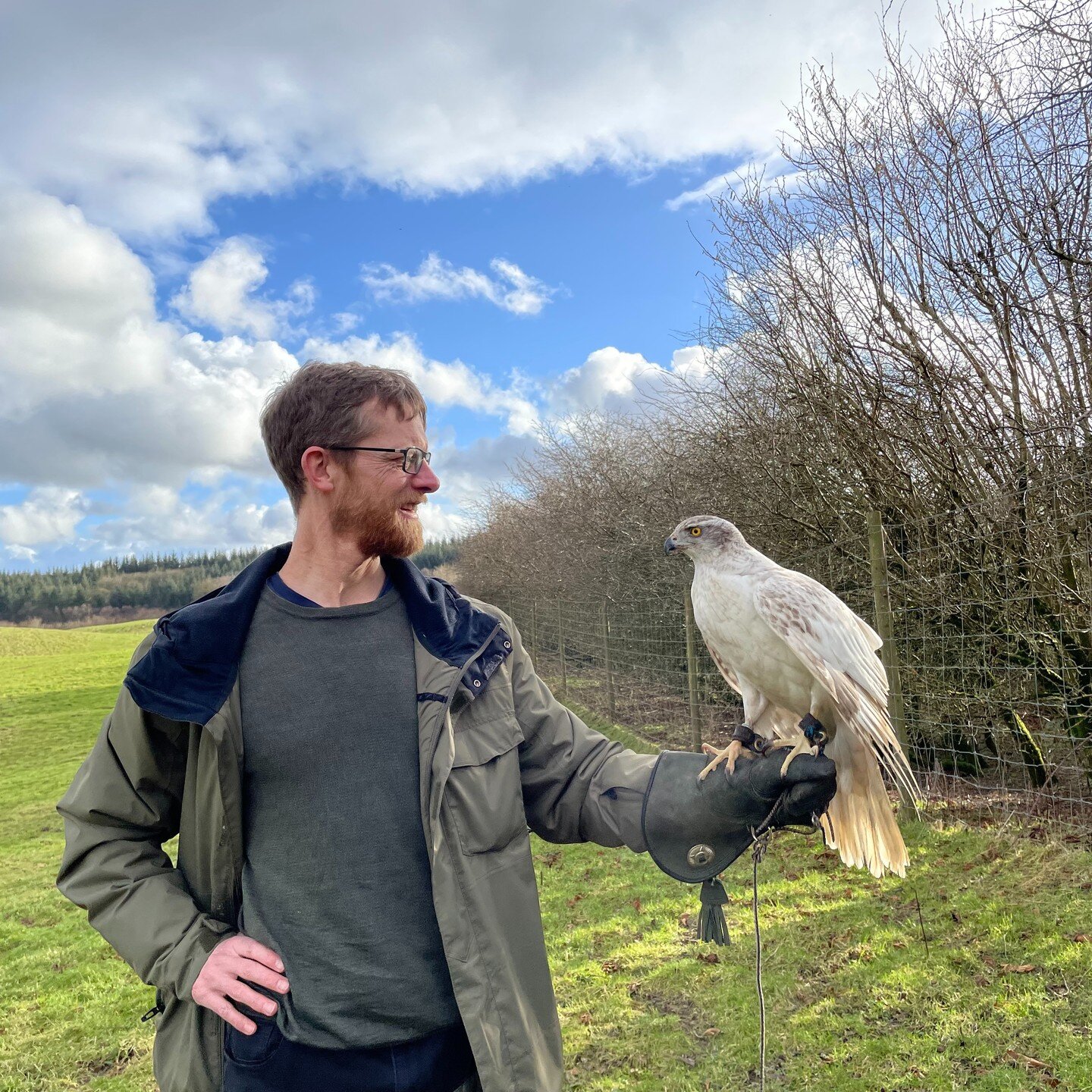 It&rsquo;s not every day you meet a goshawk on a site visit !
Our Peter Smith got up close to this amazing bird yesterday, whilst touring a potential site for three luxury holiday cabins in a secret location in the Scottish hills. #goshawk #scotland 