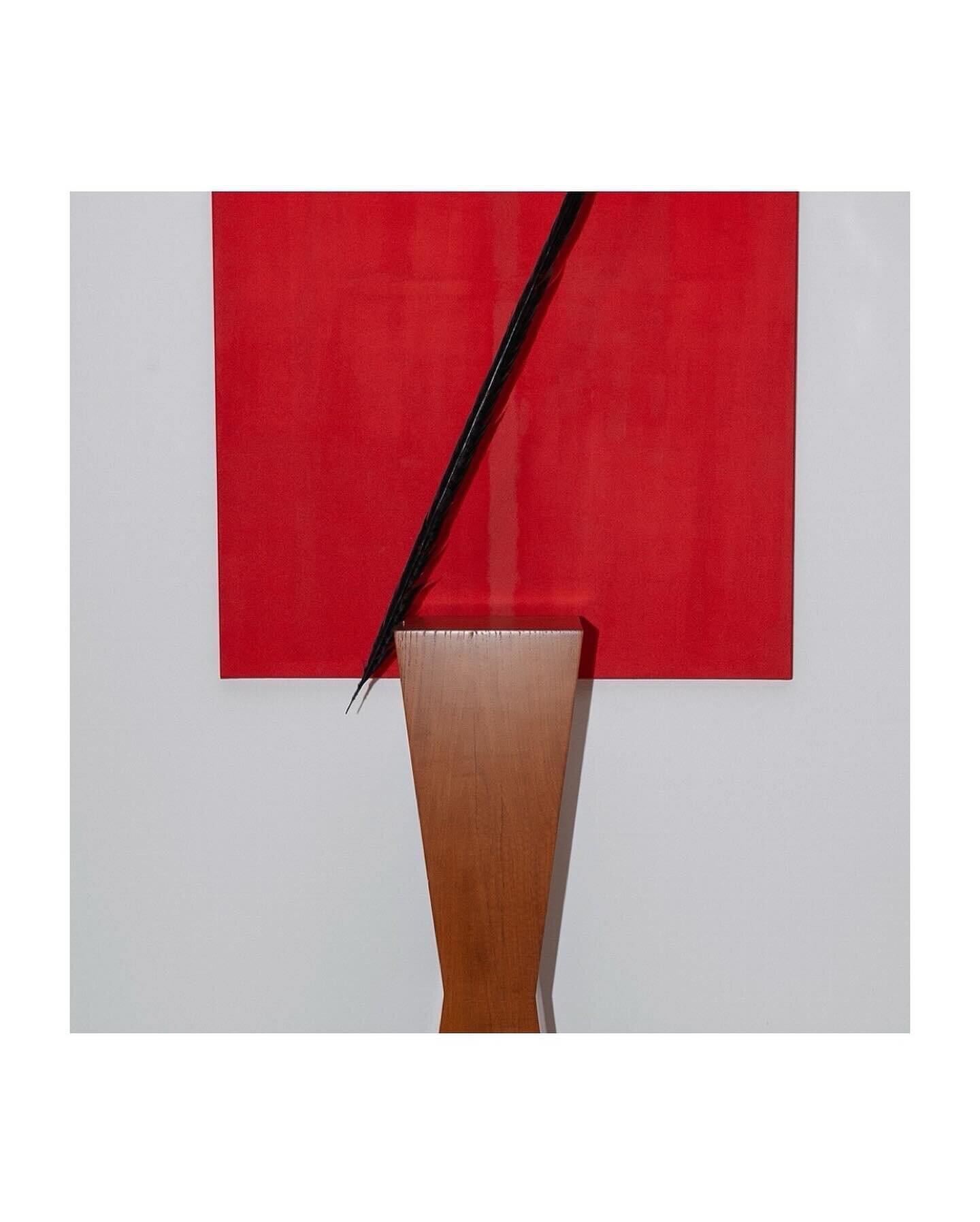 SCULTPURE - &laquo;&nbsp;L&rsquo;oiseau&nbsp;&raquo; 

A black pheasant tail feather levitating on a sculpted solid oak base contrasting on a red backdrop.

This feather trompe l&rsquo;oeil, was originally Created for the 2023 &laquo;&nbsp;Haute Volt